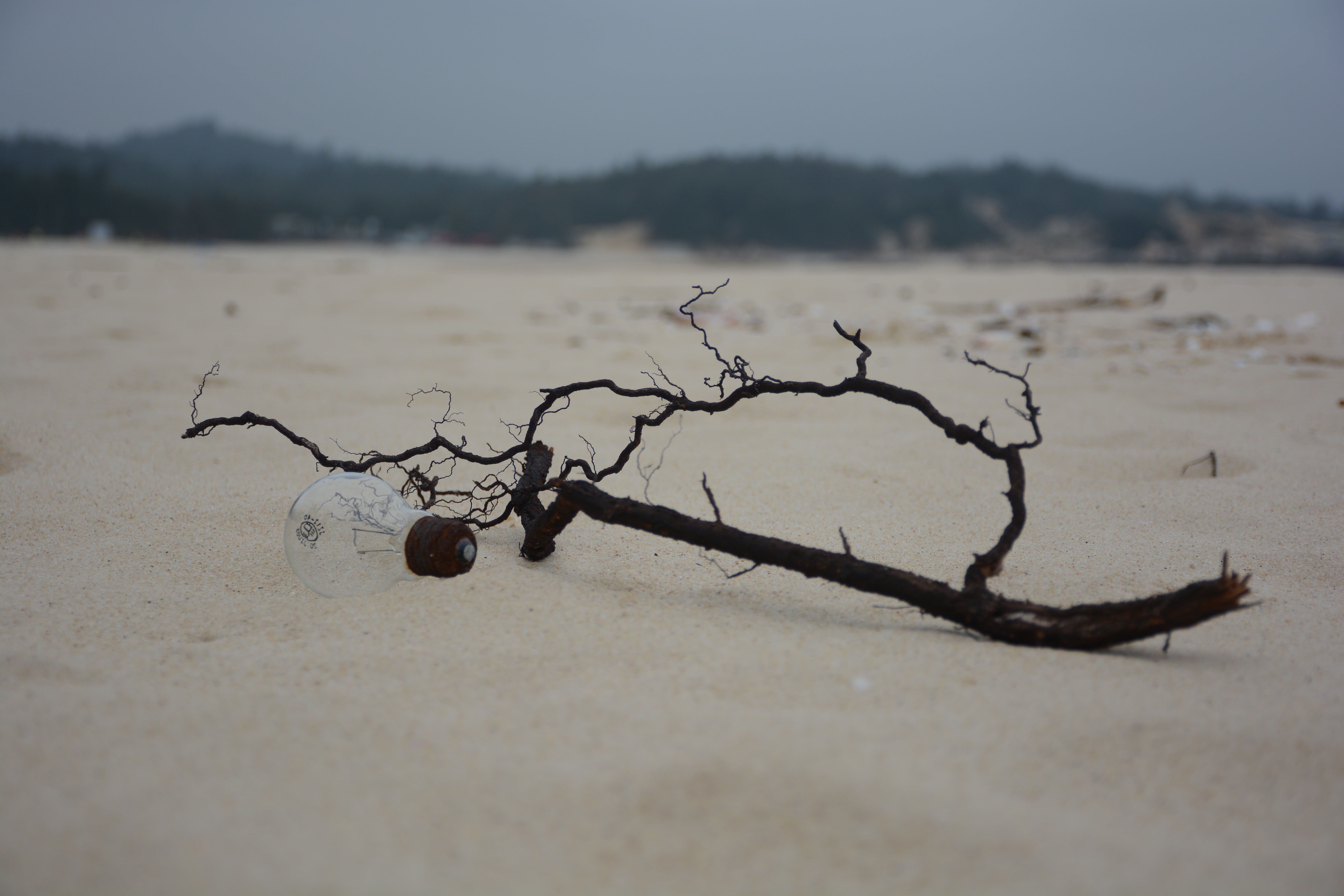 black, no people, branch, white, environment, lightbulb, scenics - nature, land, plant, driftwood, selective focus, tree, nature, sand, tranquil scene, HD Wallpaper