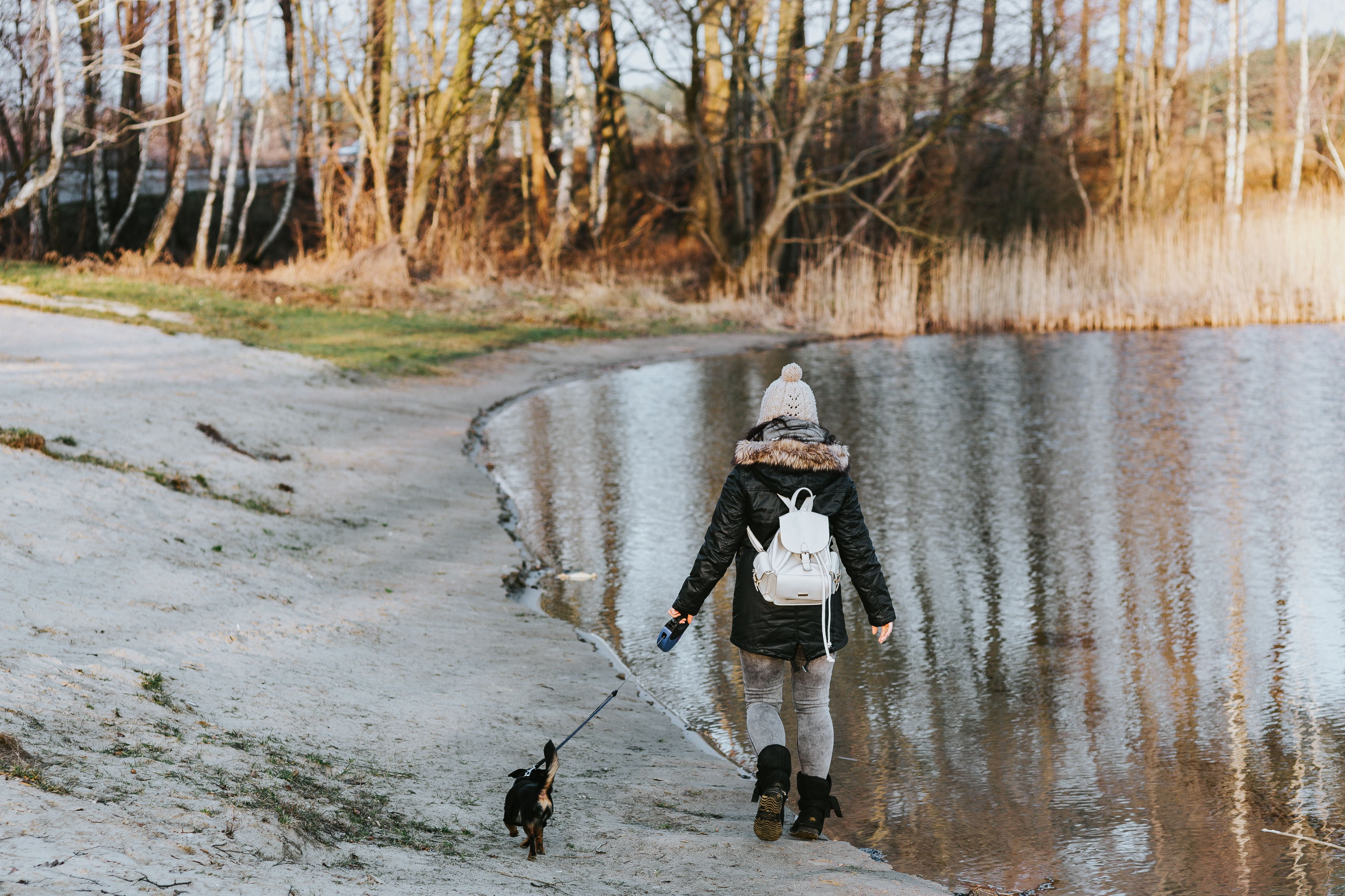 men, day, fishing Rod, walk, water, tree, plant, waterfront, land, outdoors, by the lake, 4K, walking, fishing, winter, river, one animal, real people, HD Wallpaper