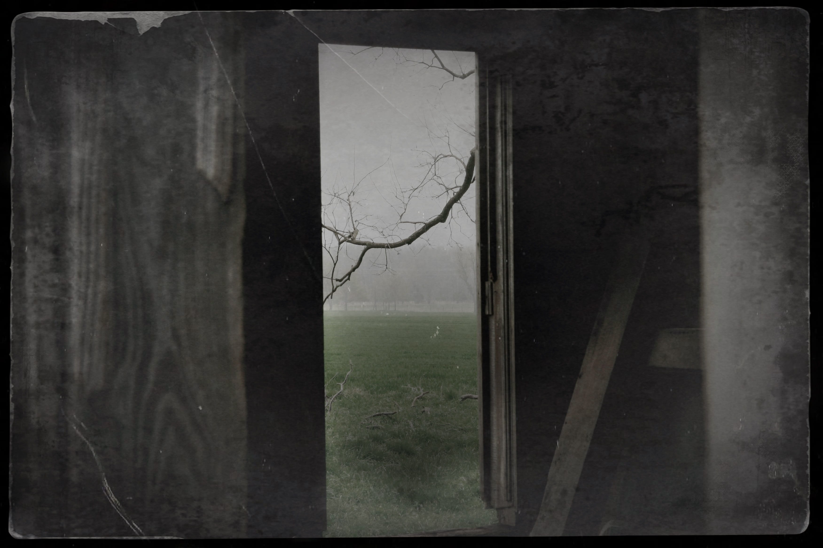 depression, leading, entrance, plant, grass, 2K, nature, grayscale, texture, auto post production filter, damaged, transfer print, abandoned, rainy day, HD Wallpaper