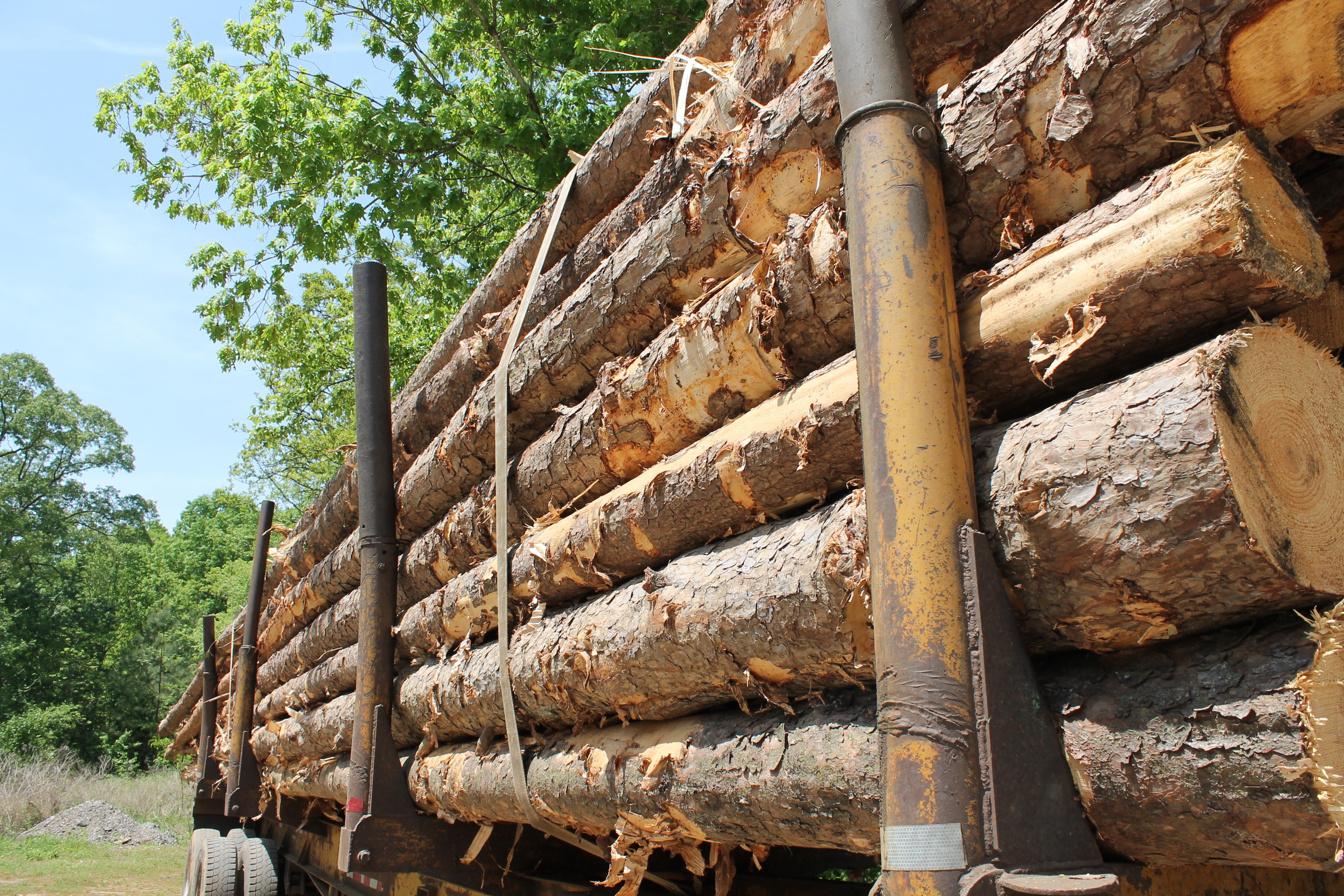 wood - material, timber, architecture, dead tree, log, tree, trailer, no people, large group of objects, day, trunk, low angle view, outdoors, damaged, HD Wallpaper