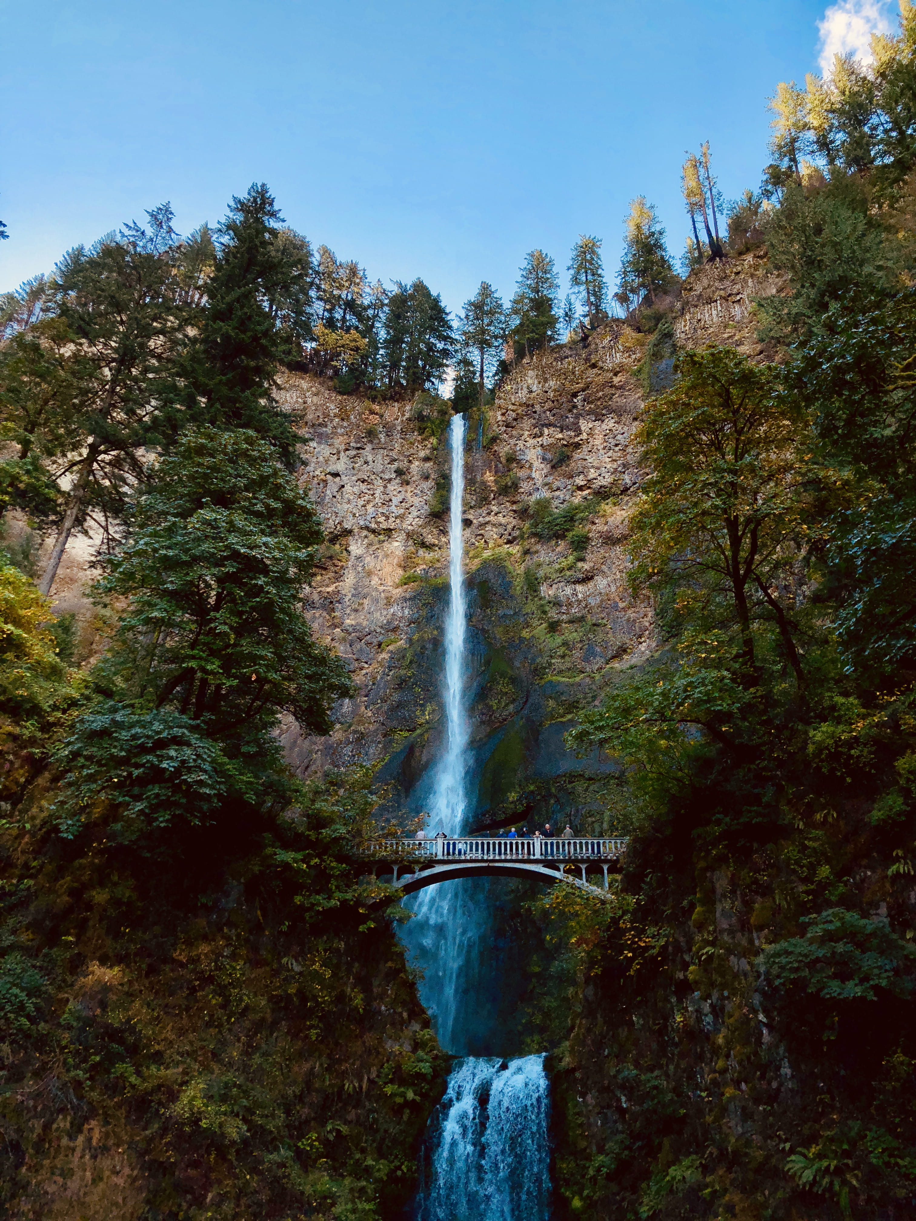 beauty in nature, cascade locks, united states, non-urban scene, tree, benson bridge, no people, motion, outdoors, power in nature, multnomah falls, nature, Phone HD Wallpaper