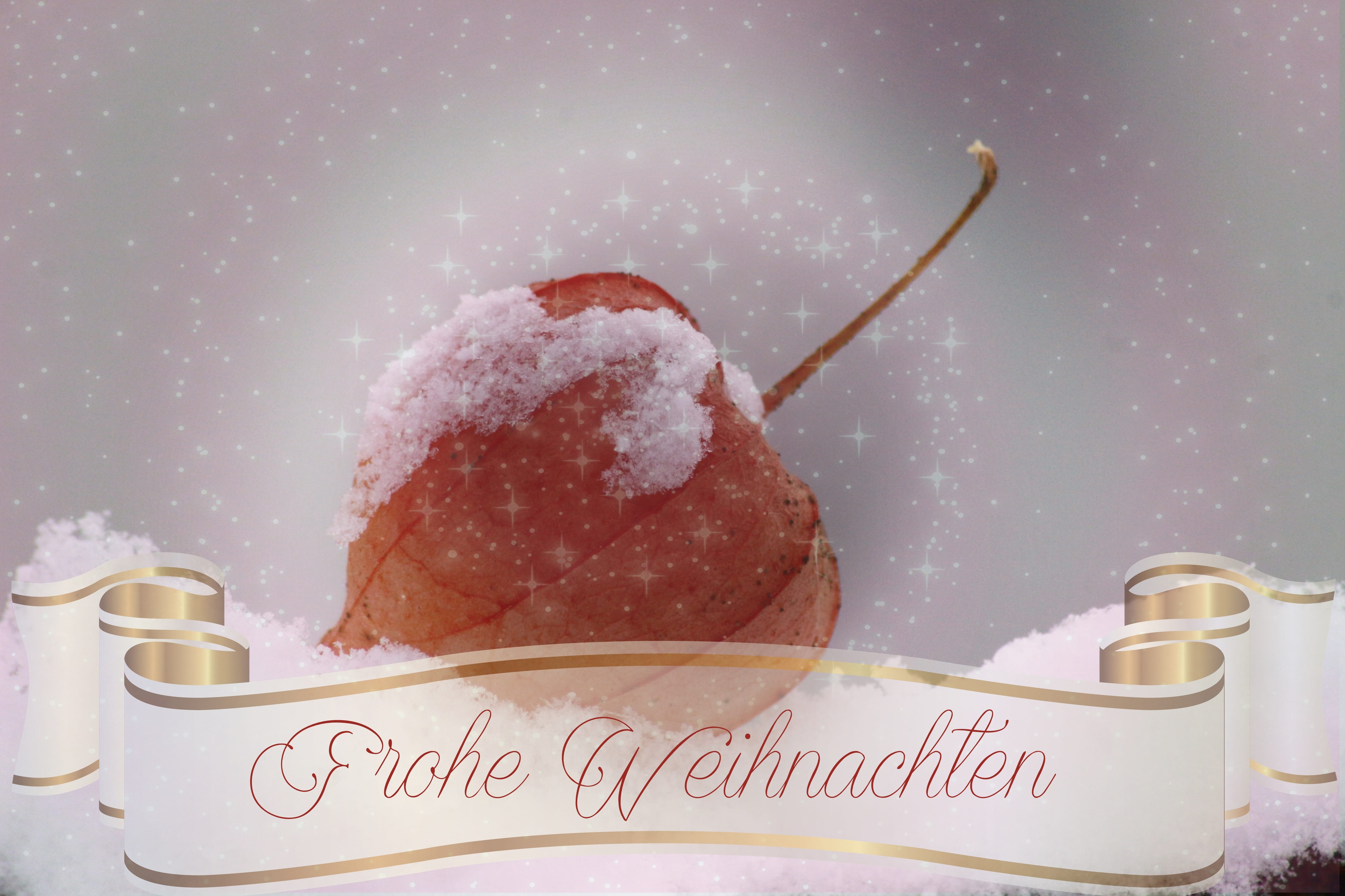 indulgence, snowy, snow, text, white, mood, close-up, sweet food, powdered sugar, christmas, landscape, wintry, unhealthy eating, christmas time, cake, HD Wallpaper