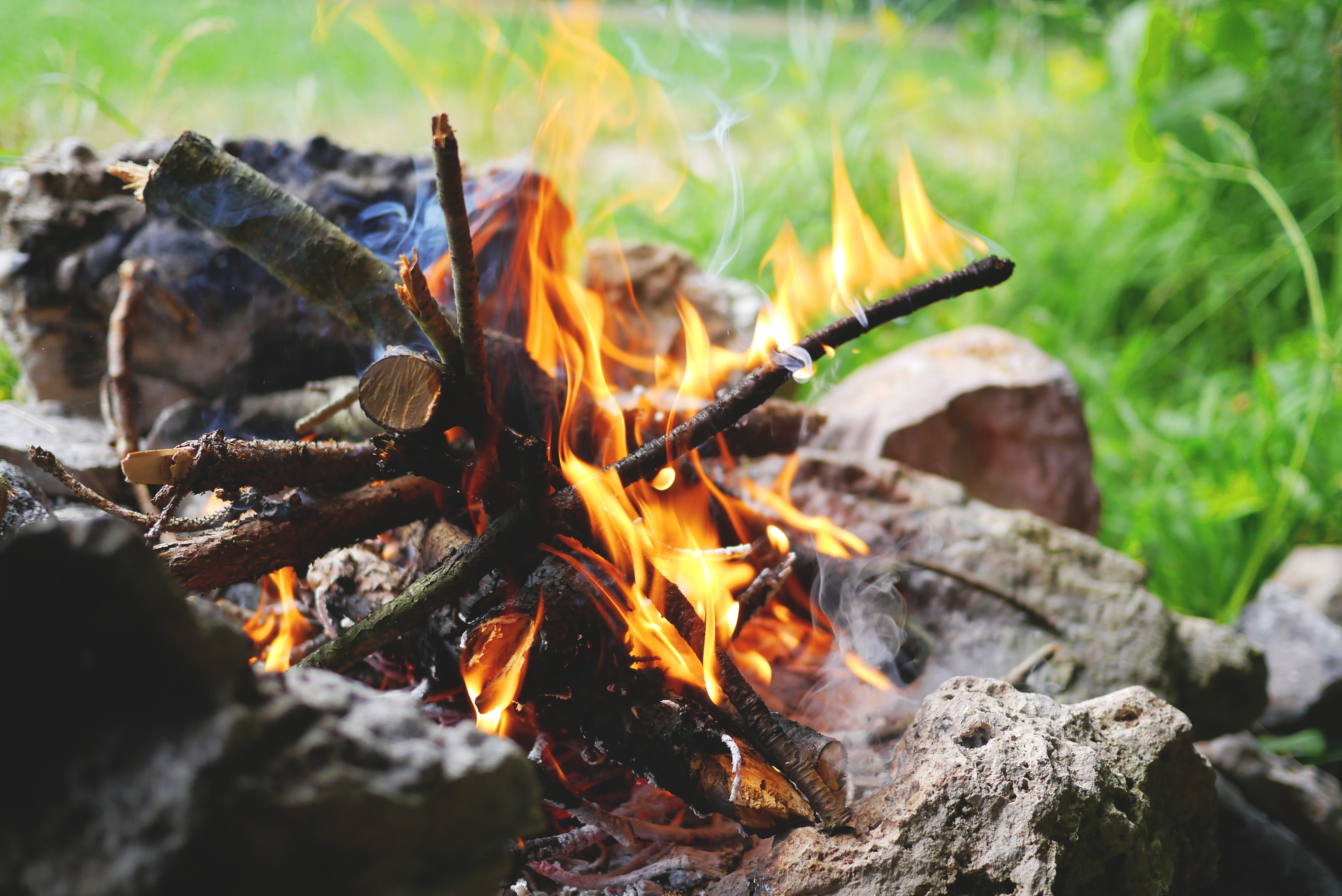 fire, heat, fireplace, tree, log, hot, flame, embers, wood, camping, firewood, close-up, outdoors, nature, 4K, outdoor, camp, heat - temperature, no people, HD Wallpaper