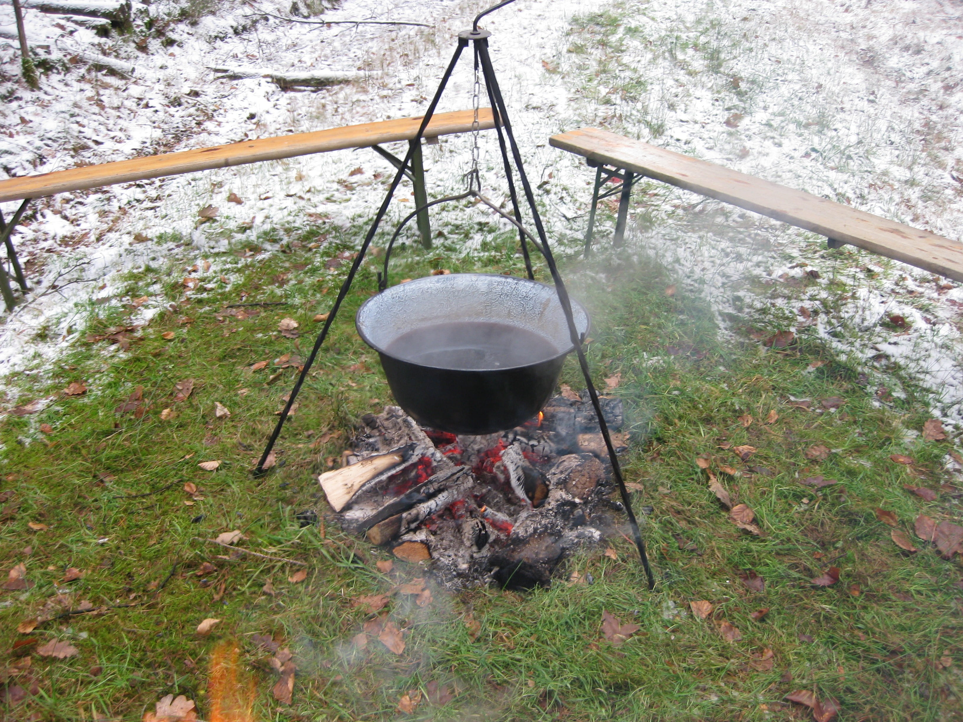 tree, flame, land, Mulled Wine, Cold, boiler, no people, camping, cauldron, plant, 2K, preparing food, day, Winter, bonfire, food and drink, preparation, HD Wallpaper