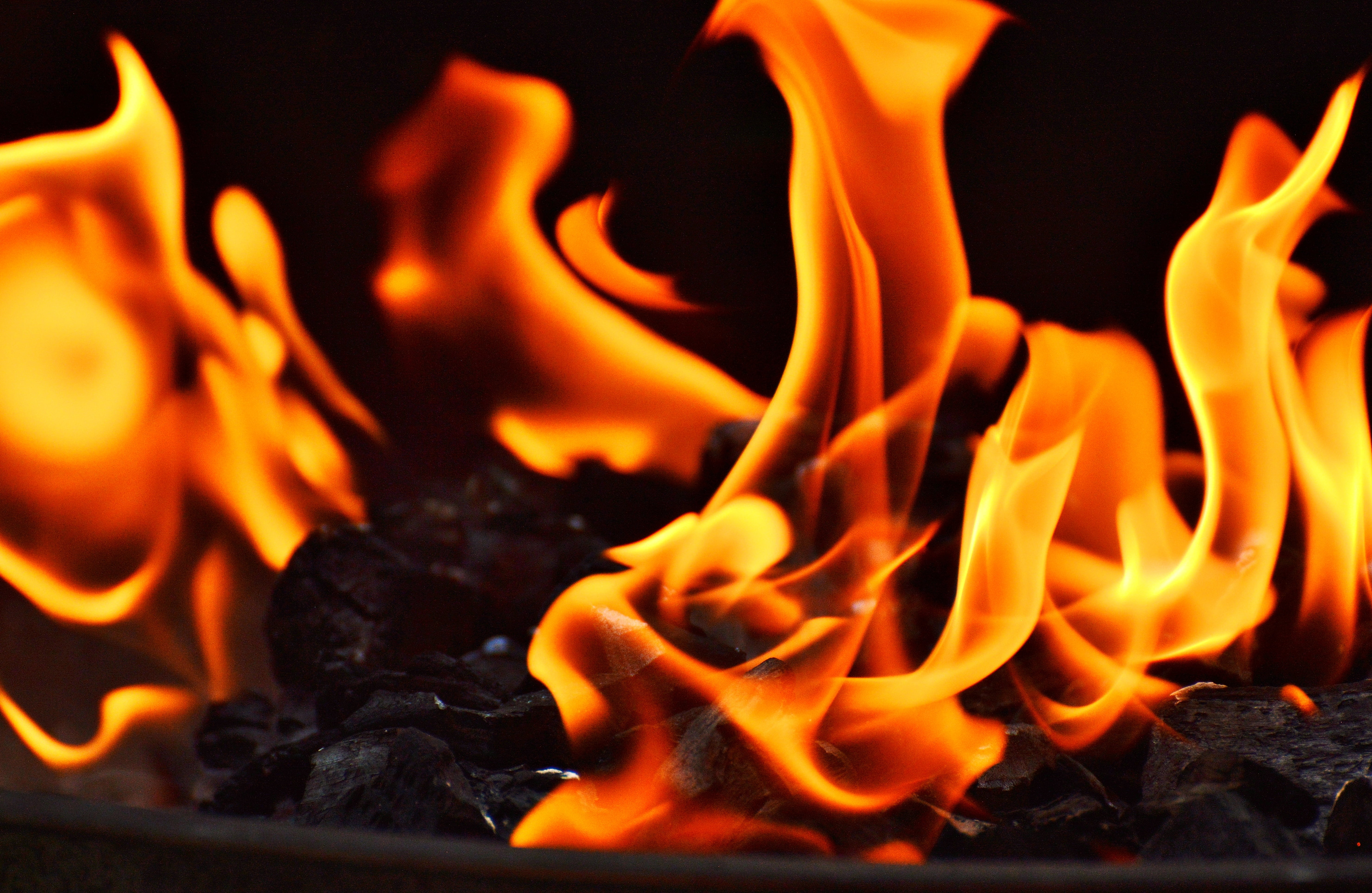 wood, barbecue, orange, no people, inferno, embers, heiss, orange color, close-up, coal, charcoal, 5K, flame, black background, glowing, heat, hot, heat - temperature, HD Wallpaper