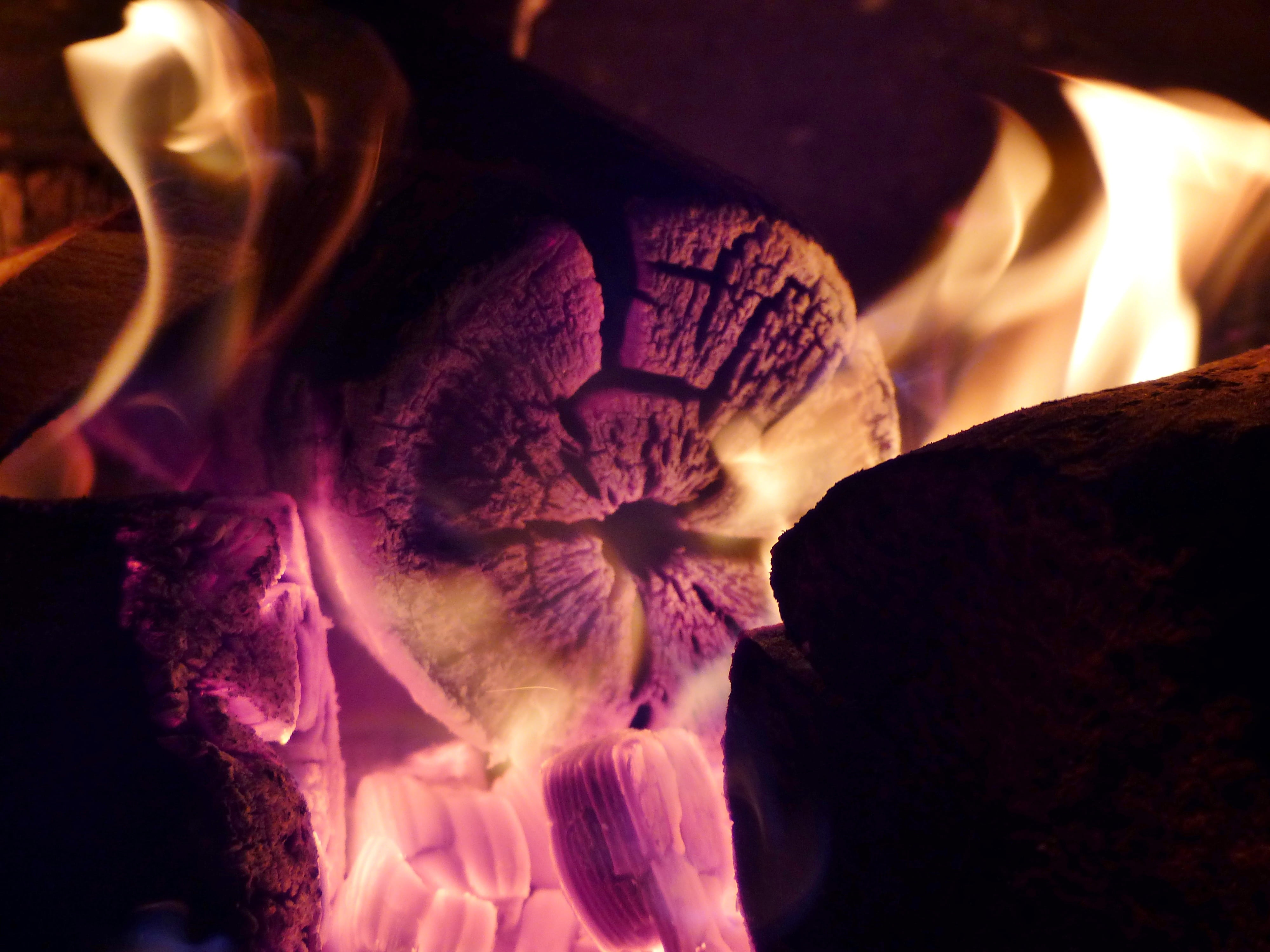 heat, fire - Natural Phenomenon, wood, heat - Temperature, orchid, glow, extreme close-up, no people, burn, cozy, 4K, close-up, burning, fragility, inflorescence, HD Wallpaper