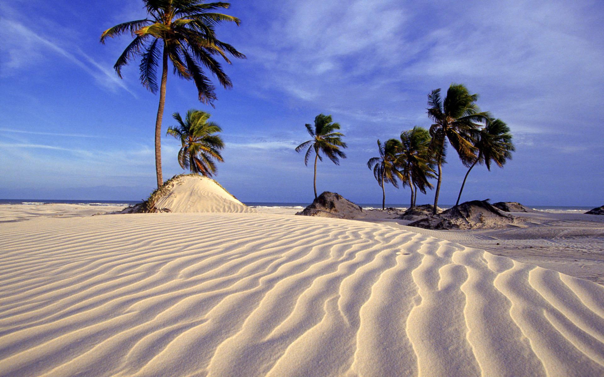 3d and abstract, windows7theme, 1080P, oaza, desert, ocean, brazil, HD Wallpaper