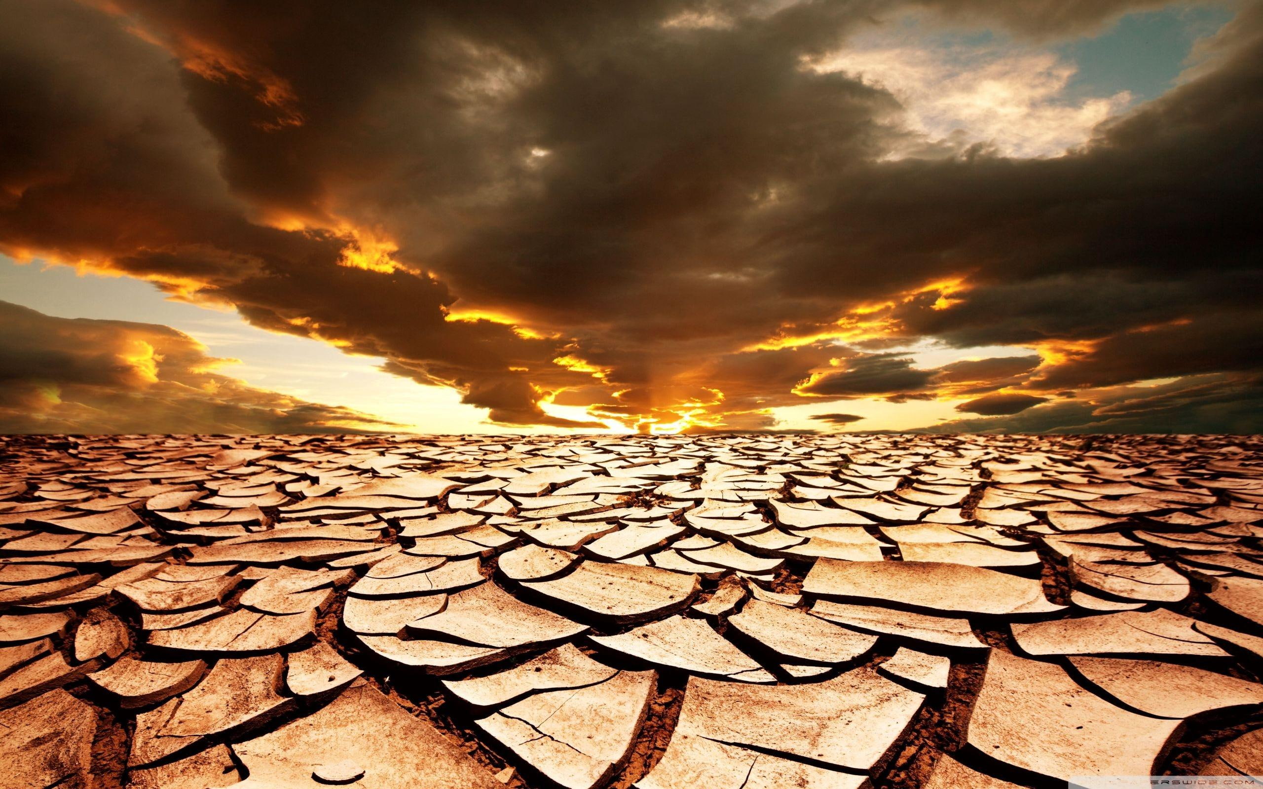 dried, aridity, desert, beauty, sunset, drought, 2K, nature and landscapes, soil, photography, HD Wallpaper
