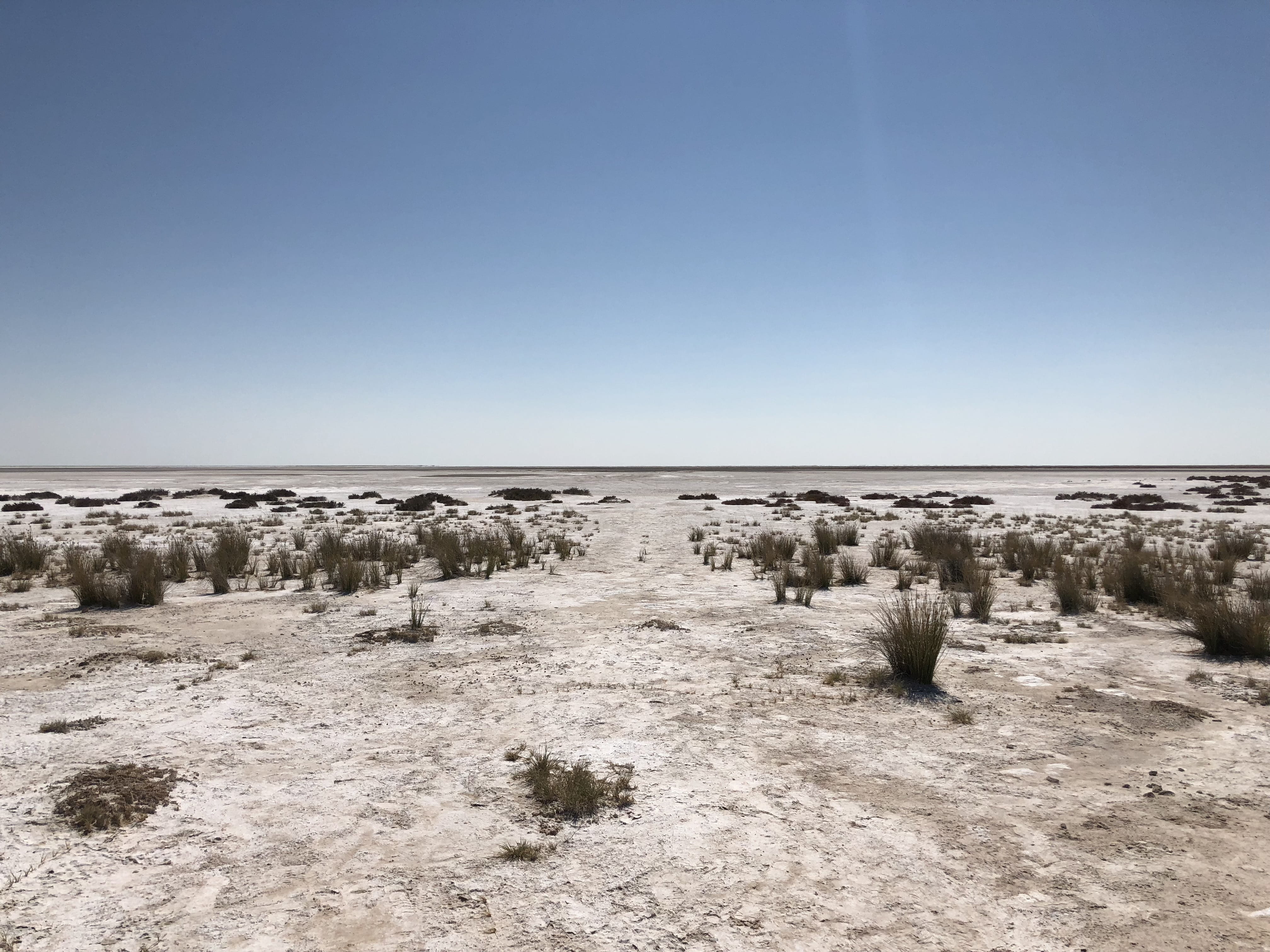 lake, scenics - nature, beauty in nature, outdoors, dry, 4K, tranquil scene, nature, idyllic, trip, wild, desert, tourism, water, sky, namib, namibia, HD Wallpaper