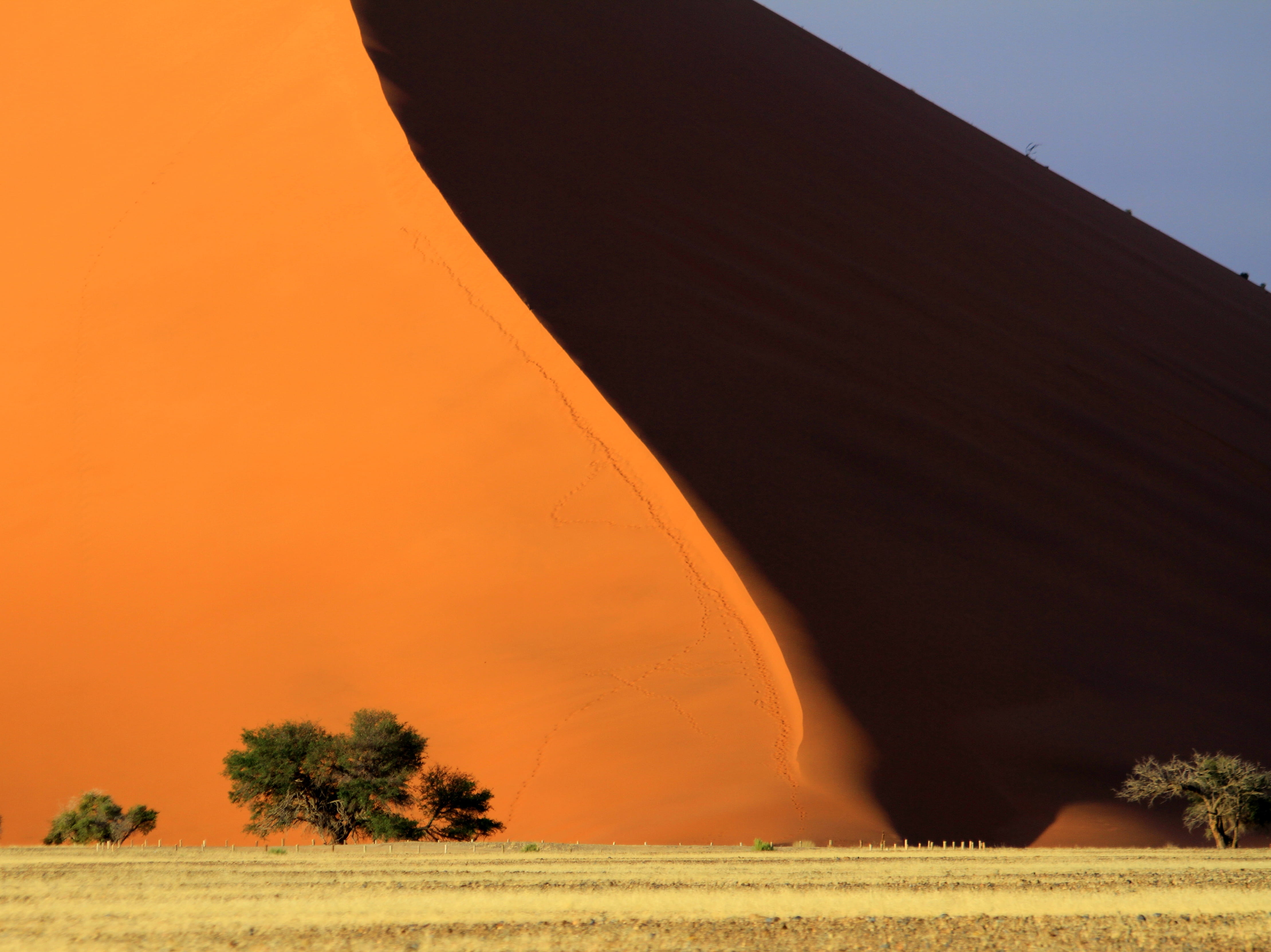 day, sw africa, plant, field, scenics - nature, outdoors, 4K, landscape, nambia photo, sand, gene taylor photography, beauty in nature, red, tranquil scene, HD Wallpaper