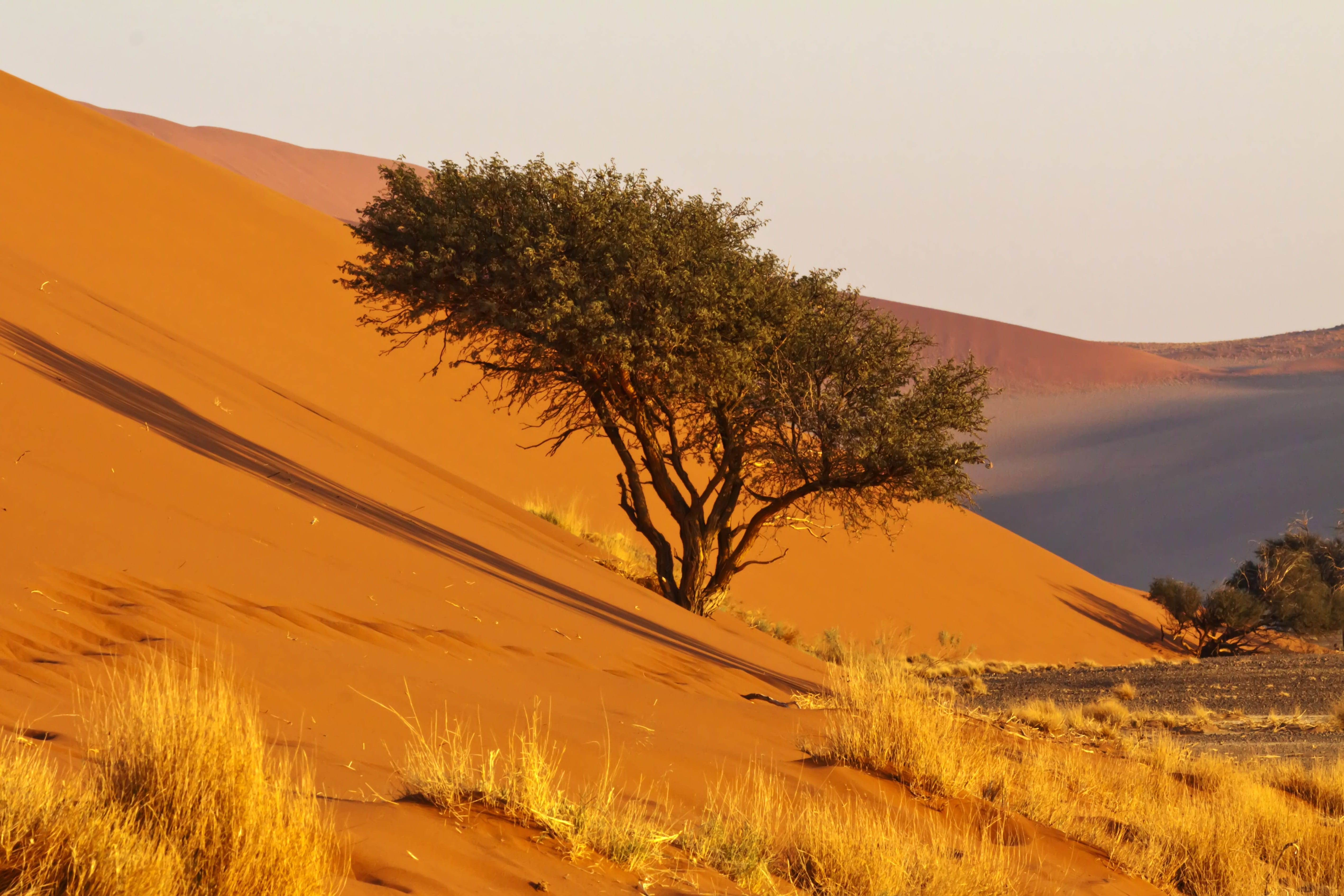 scenics - nature, remote, dunes, sunset, tourism, tranquil scene, no people, non-urban scene, land, road, arid climate, environment, vegetation, sky, adventure, HD Wallpaper