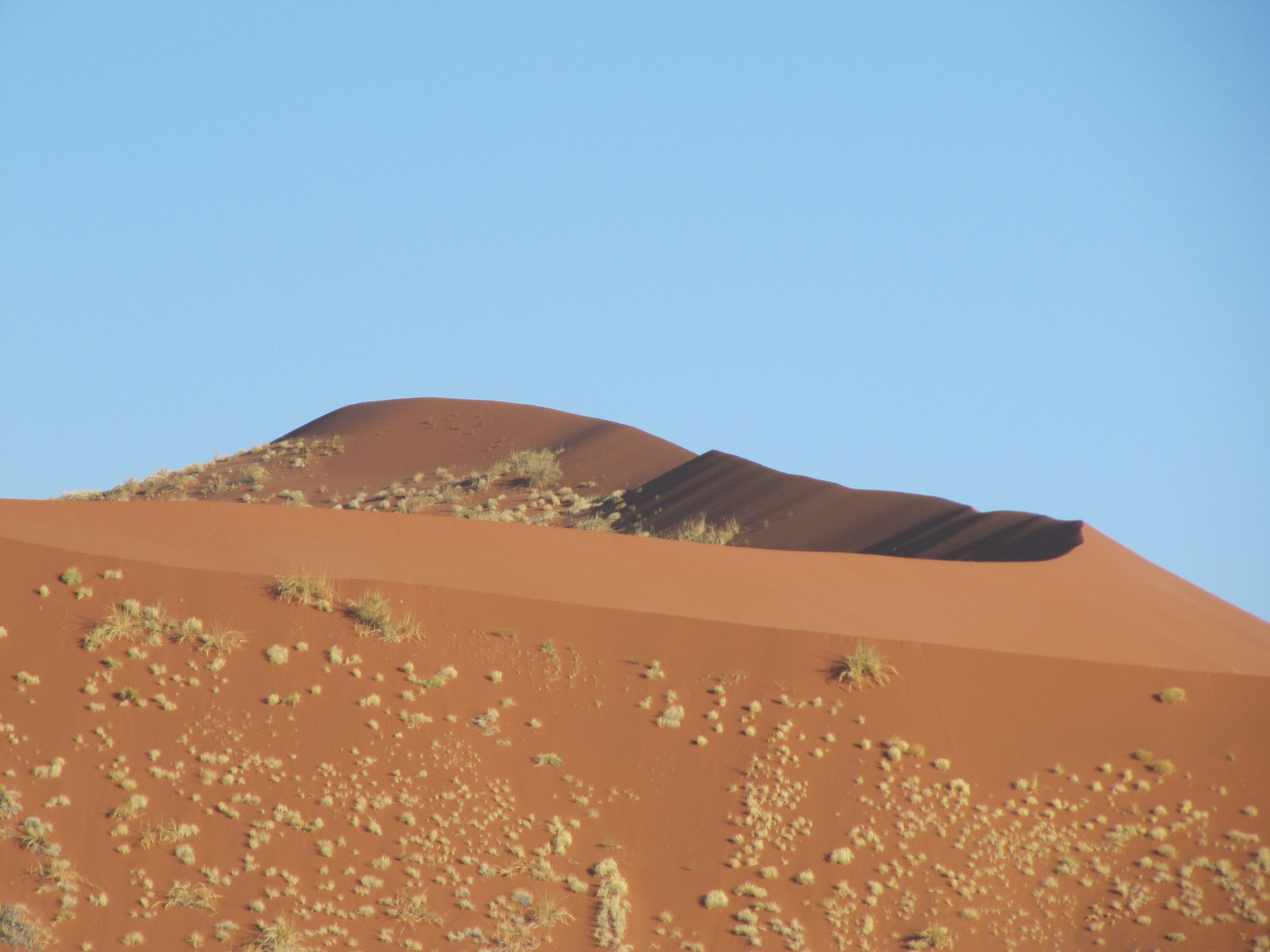arid climate, scenics - nature, environment, copy space, desert, blue, sand dune, sunlight, climate, nature, non-urban scene, clear sky, day, sky, landscape, HD Wallpaper