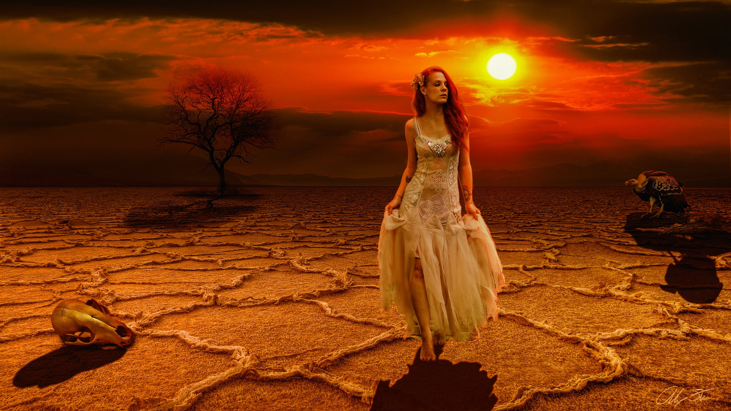 summer, beauty, climate, woman, 2K, tree, bride, scenics - nature, sunset, desert, digital composite, sleeveless, wedding, dry, beauty in nature, nature, HD Wallpaper
