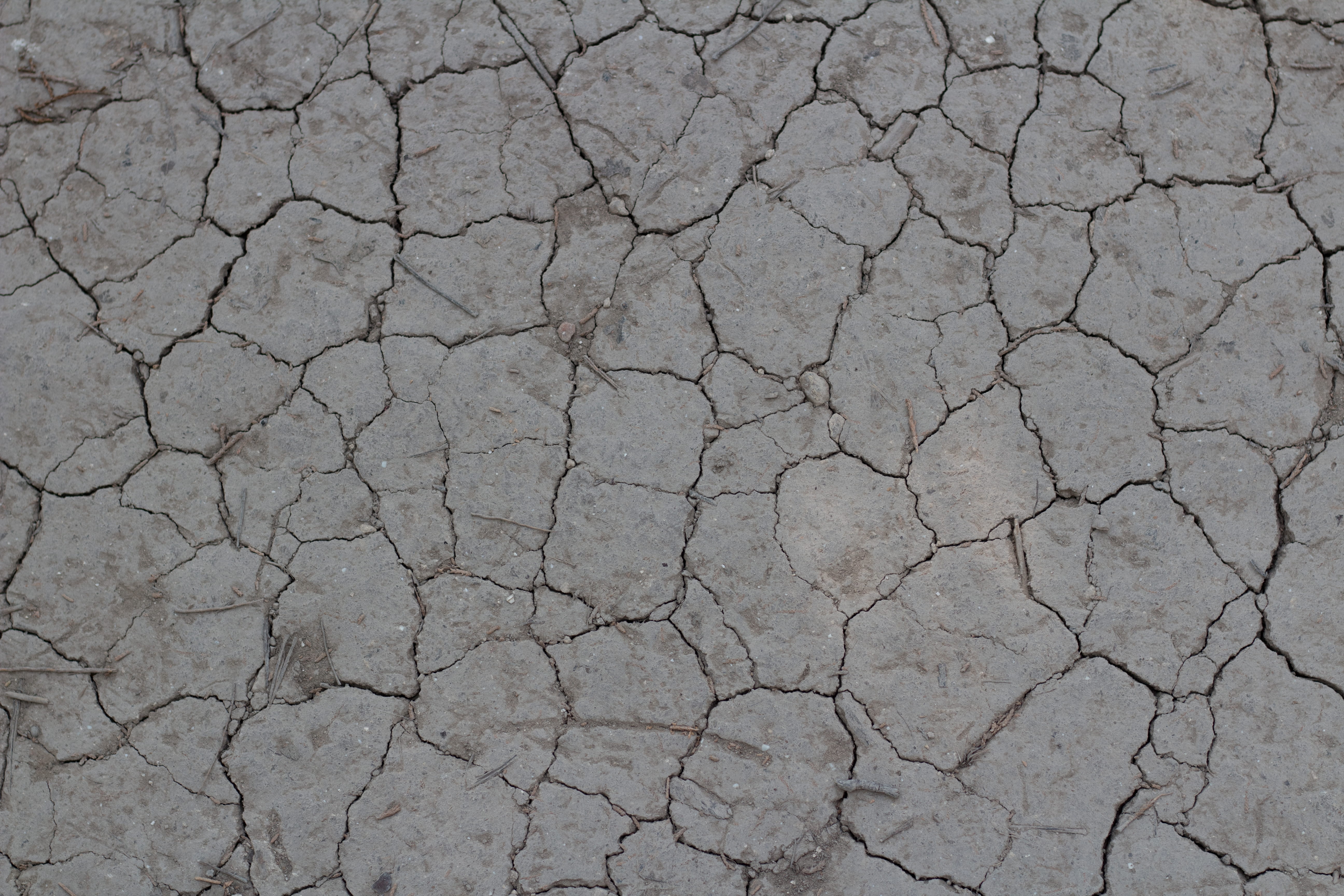 summers, scenics - nature, climate, texture, sand, mud, stone, dawn, pattern, nature, exploring, day, summer, extreme terrain, cracked, natural pattern, HD Wallpaper