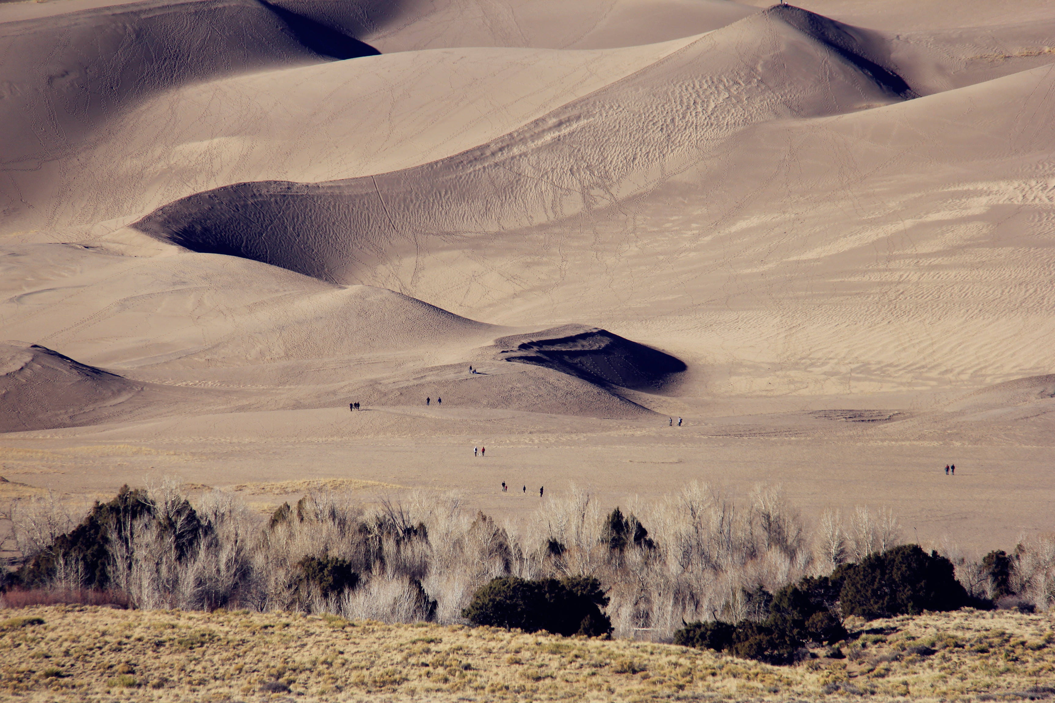 mountain, united states, non-urban scene, land, no people, sunlight, grassland, field, geology, countryside, great sand dunes, climate, great sand dunes national park, HD Wallpaper