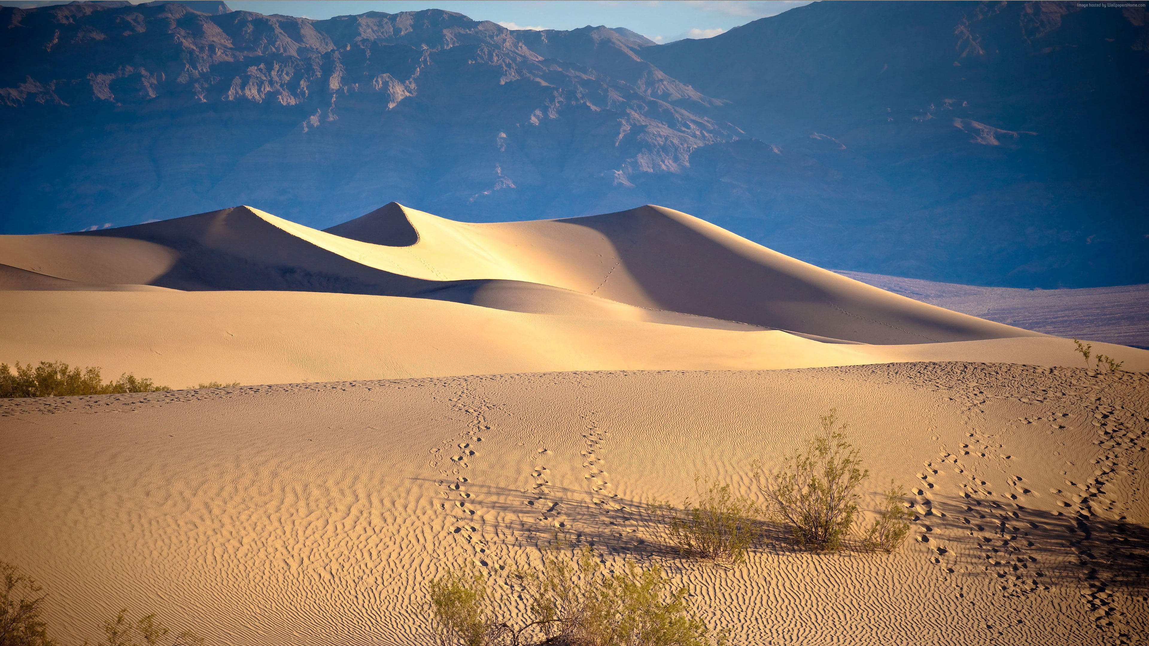 sand, Death valley, 4k, 4K, mountains, 5k, USA, desert, HD Wallpaper