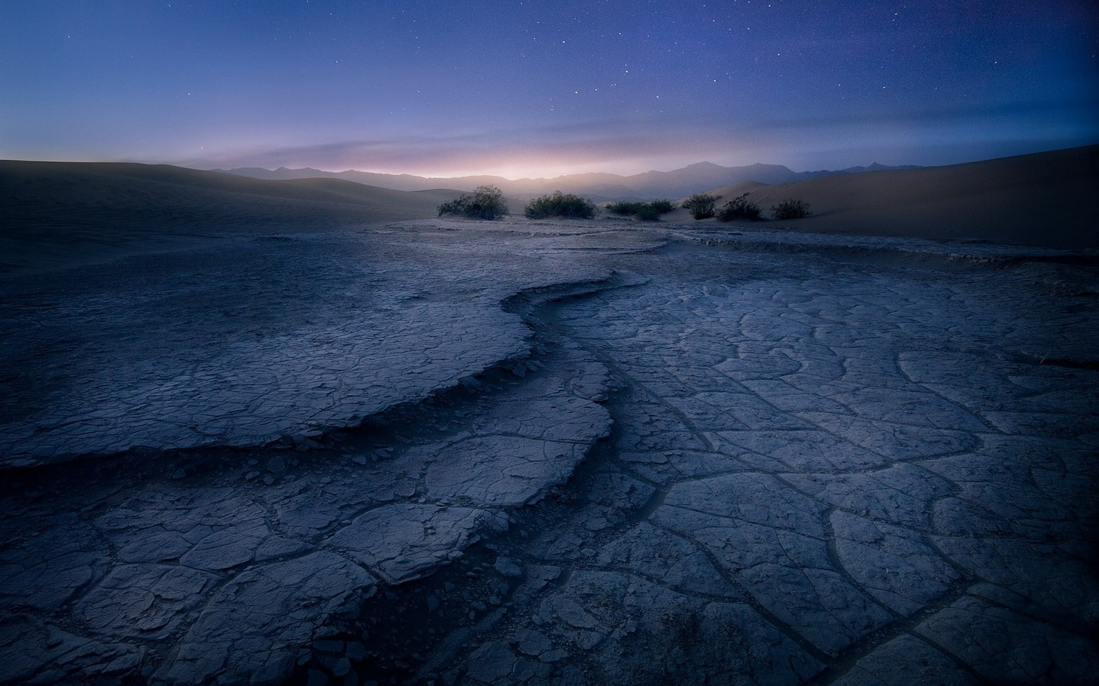 Shrubs, environment, nature, Death Valley, frozen, no people, mist, land, california, plant, landscape, beauty in nature, sunrise, snow, Dune, night, stars, HD Wallpaper