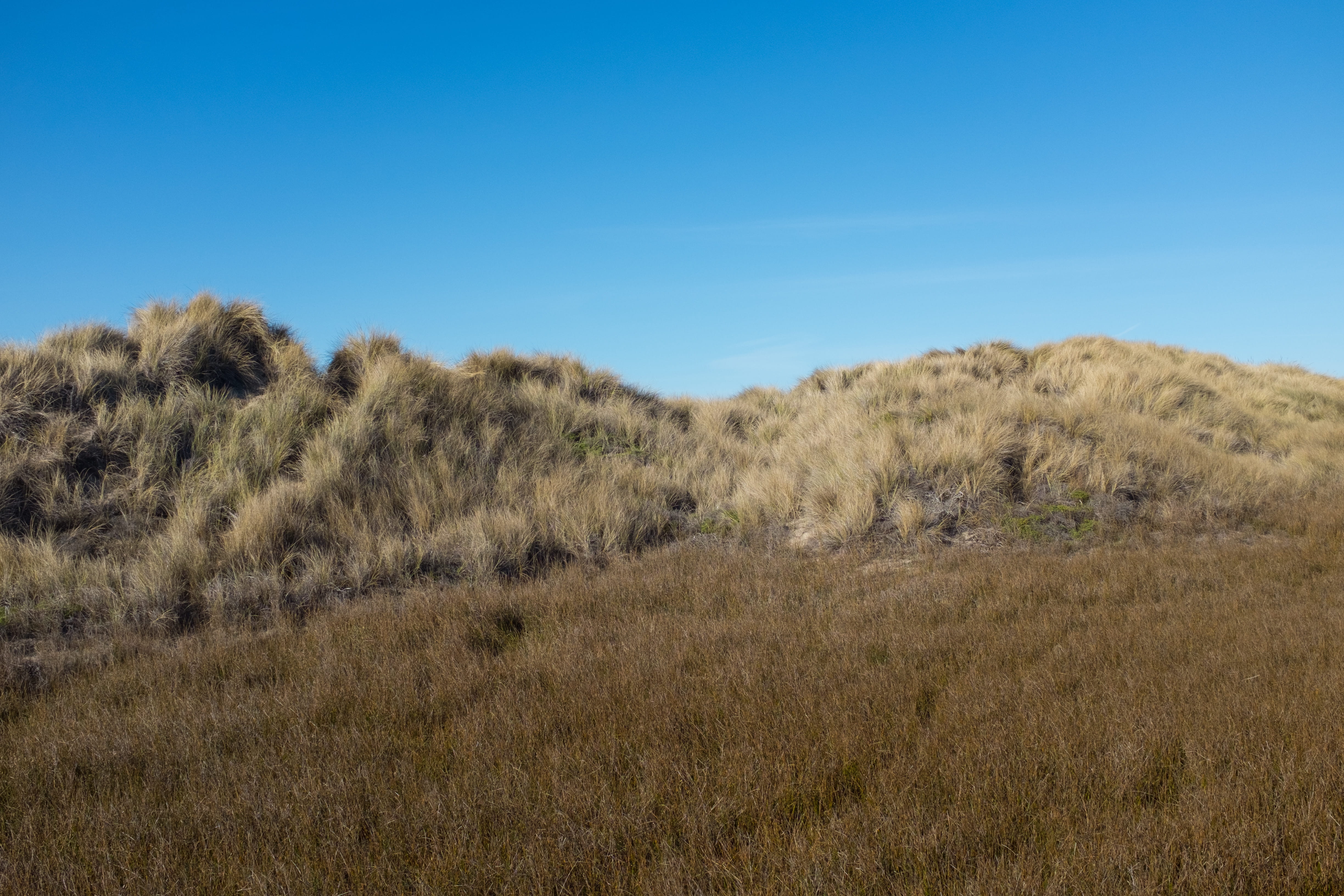 dune, scenics - nature, environment, blue, pescadero, arid climate, beauty in nature, tranquility, coast, 4K, clear sky, outdoors, day, beach, copy space, HD Wallpaper