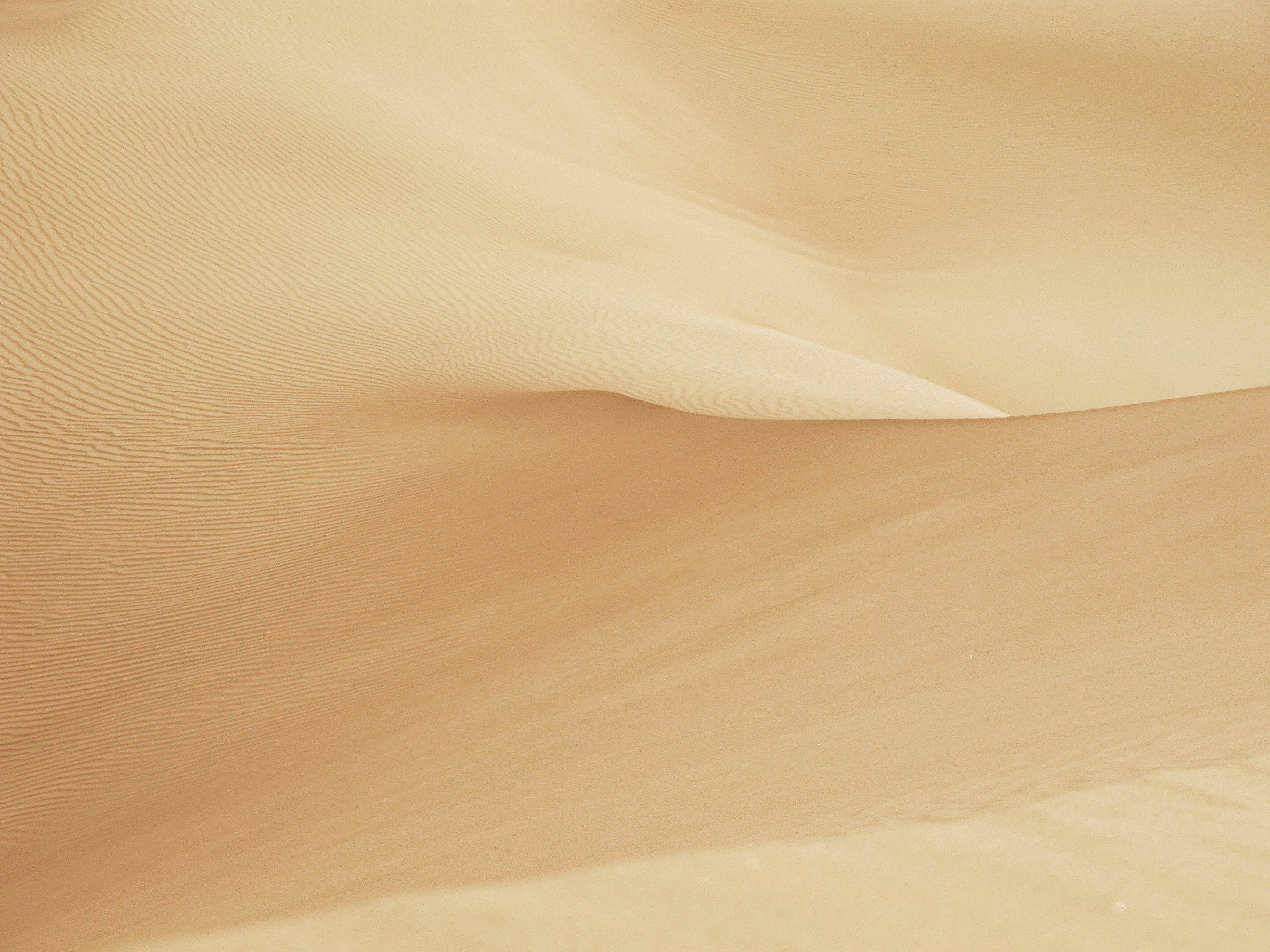 no people, nature, brown, desert, 2K, sand, environment, softness, backgrounds, textured, remote, contemplation, textile, arid climate, beauty in nature, HD Wallpaper