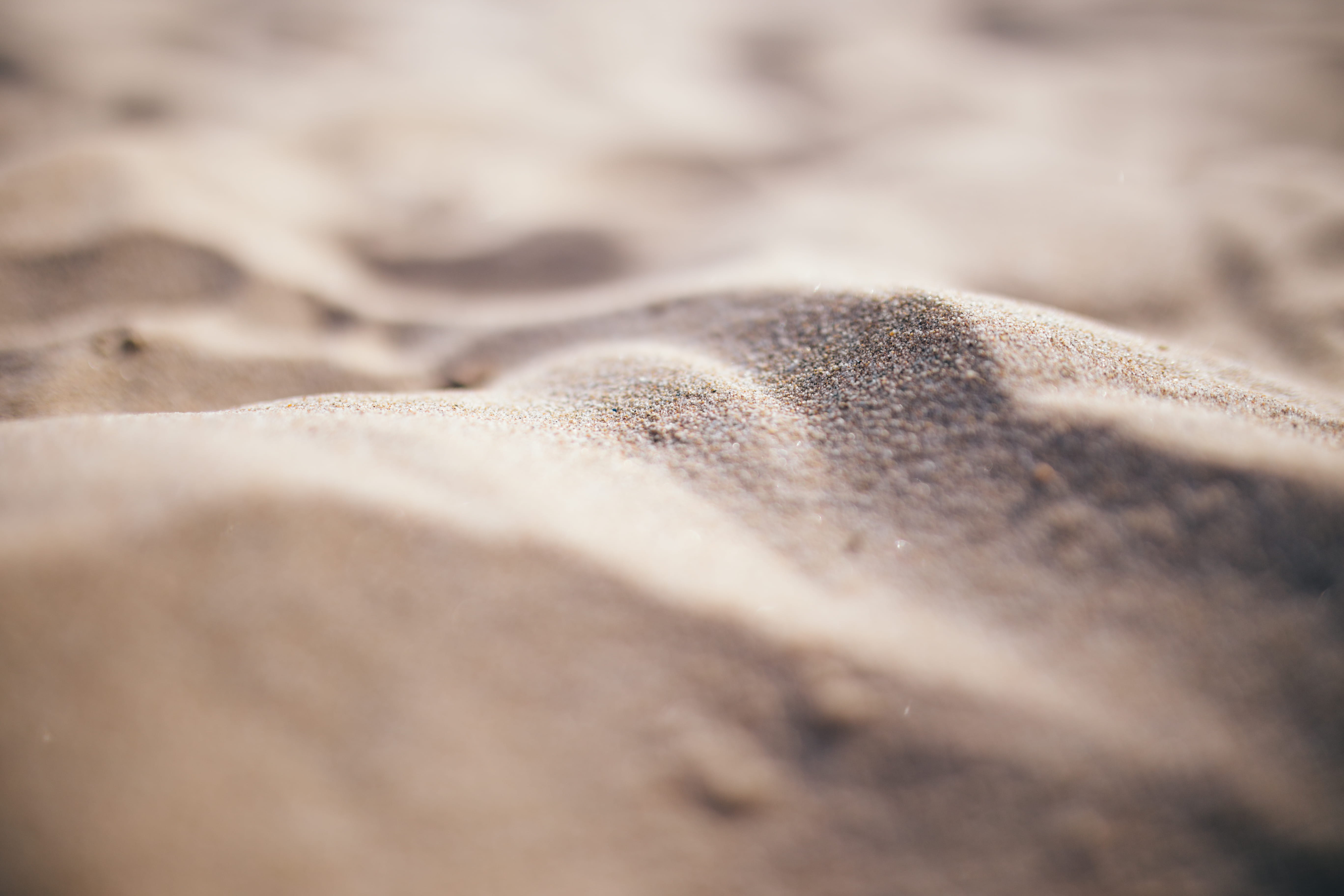 summer, gray, textured, selective focus, focus, nature, soft focus, white color, shallow, photo, softness, abstract backgrounds, land, comfortable, no people, HD Wallpaper