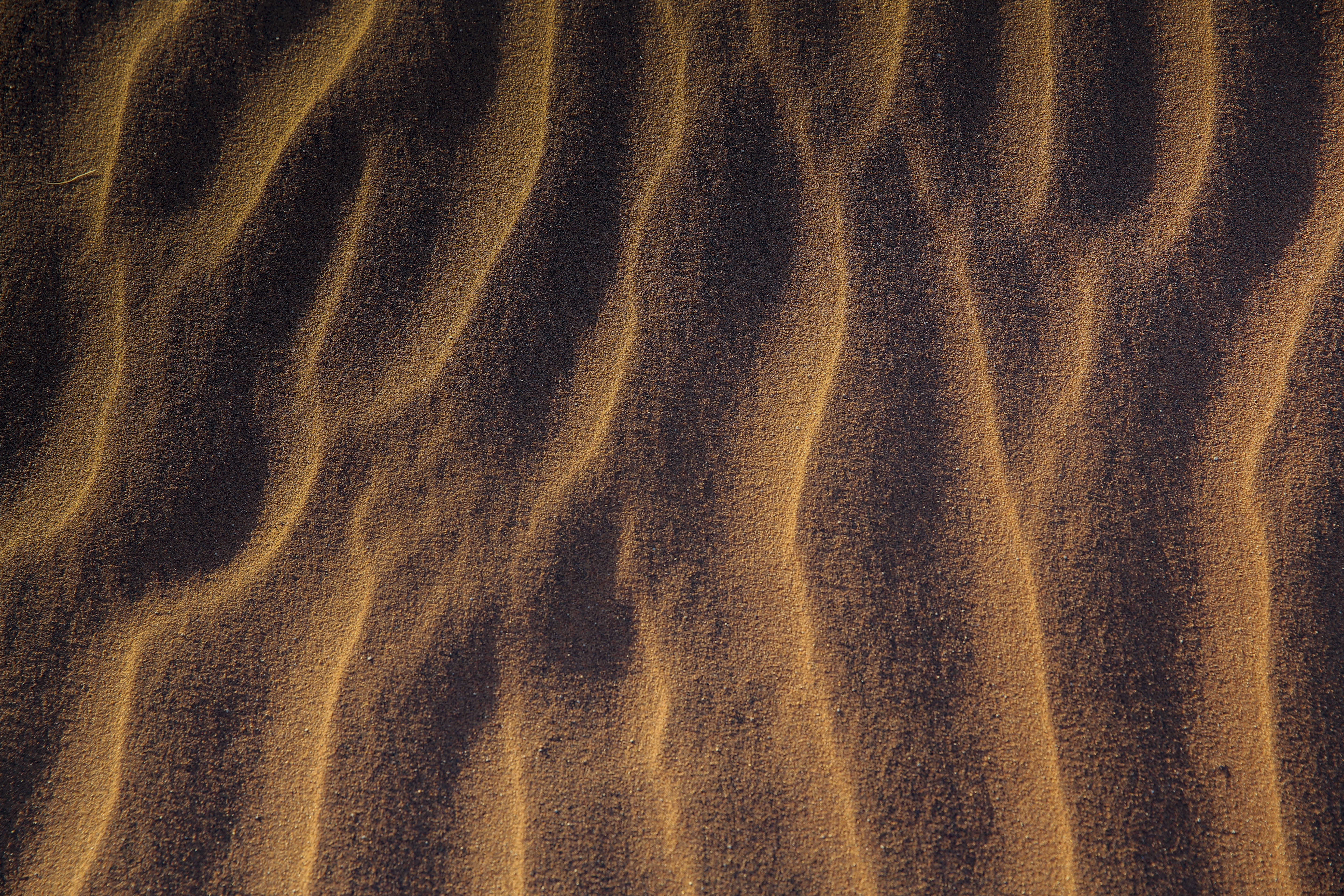 softness, luxury, nature, wave, rippled, close-up, crumpled, backgrounds, tranquility, ornament, textured effect, textile, beauty in nature, animal, desert, HD Wallpaper