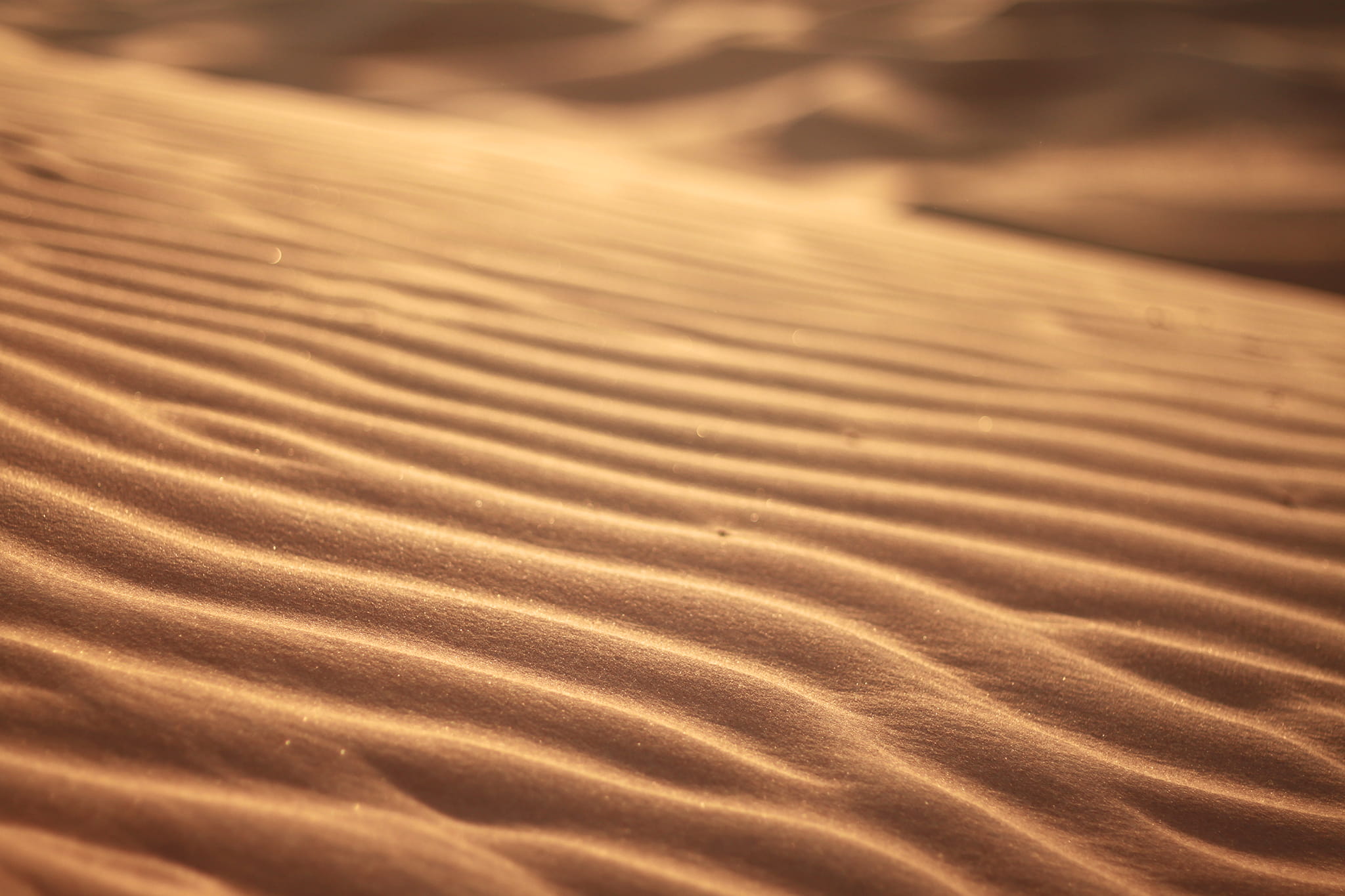 gold colored, rippled, dry, backgrounds, nature, natural pattern, textured, abstract, abstract backgrounds, beach, footprint, landscape, close-up, arid Climate, HD Wallpaper