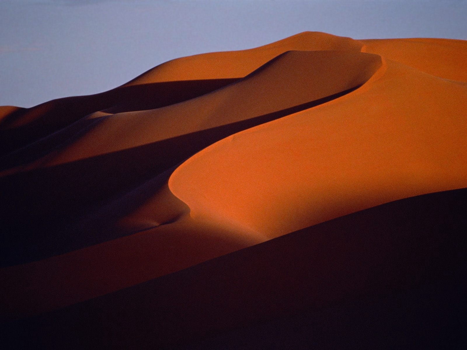land, beauty in nature, dunes, shadow, yellow, backgrounds, tranquil scene, shade, tranquility, flag, nature, waving, curve, travel Locations, evening, HD Wallpaper