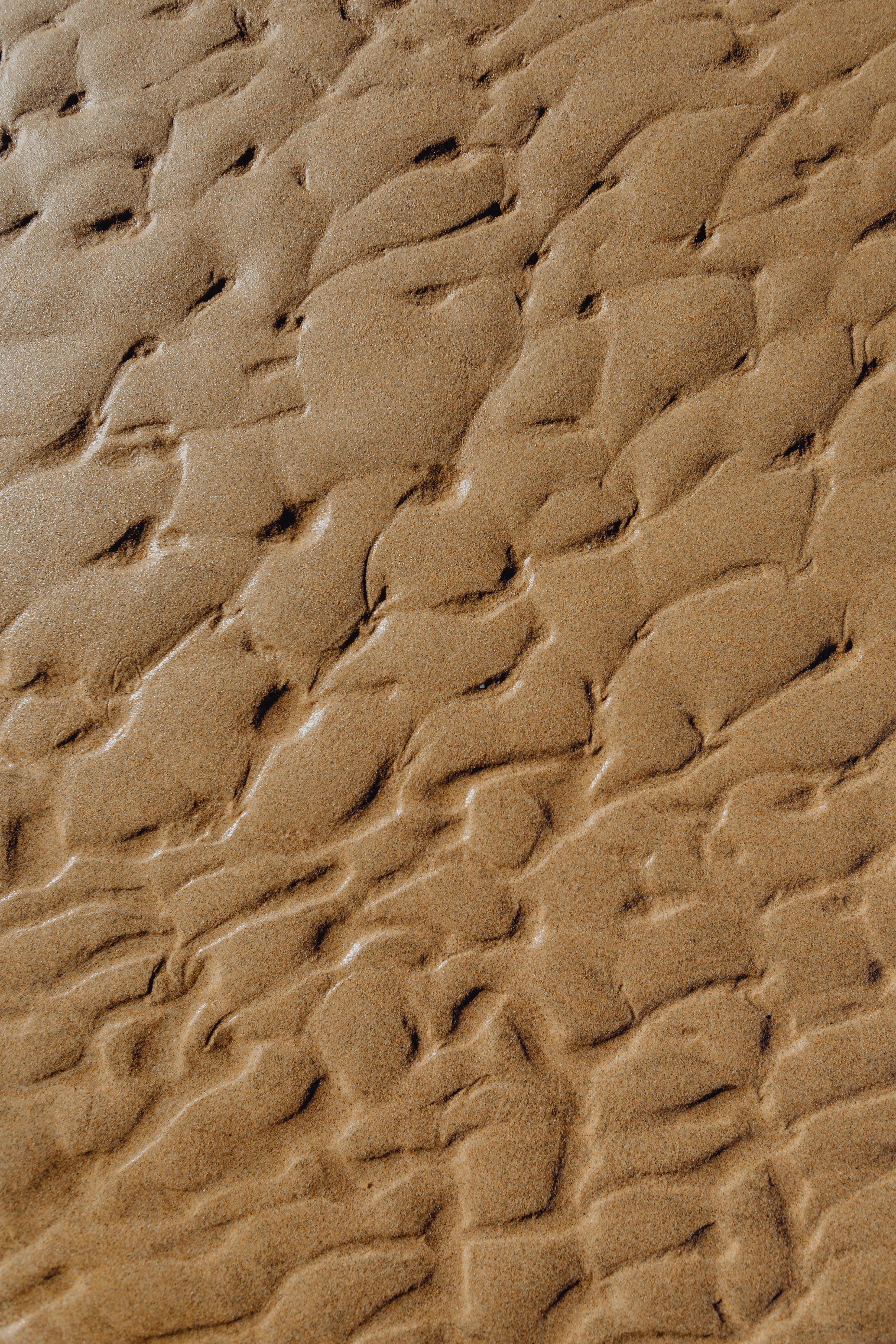 outdoors, beach, beige, sand, texture, close-up, background, nature, beauty in nature, brown, day, wave pattern, textured, climate, arid climate, repetition, Phone HD Wallpaper