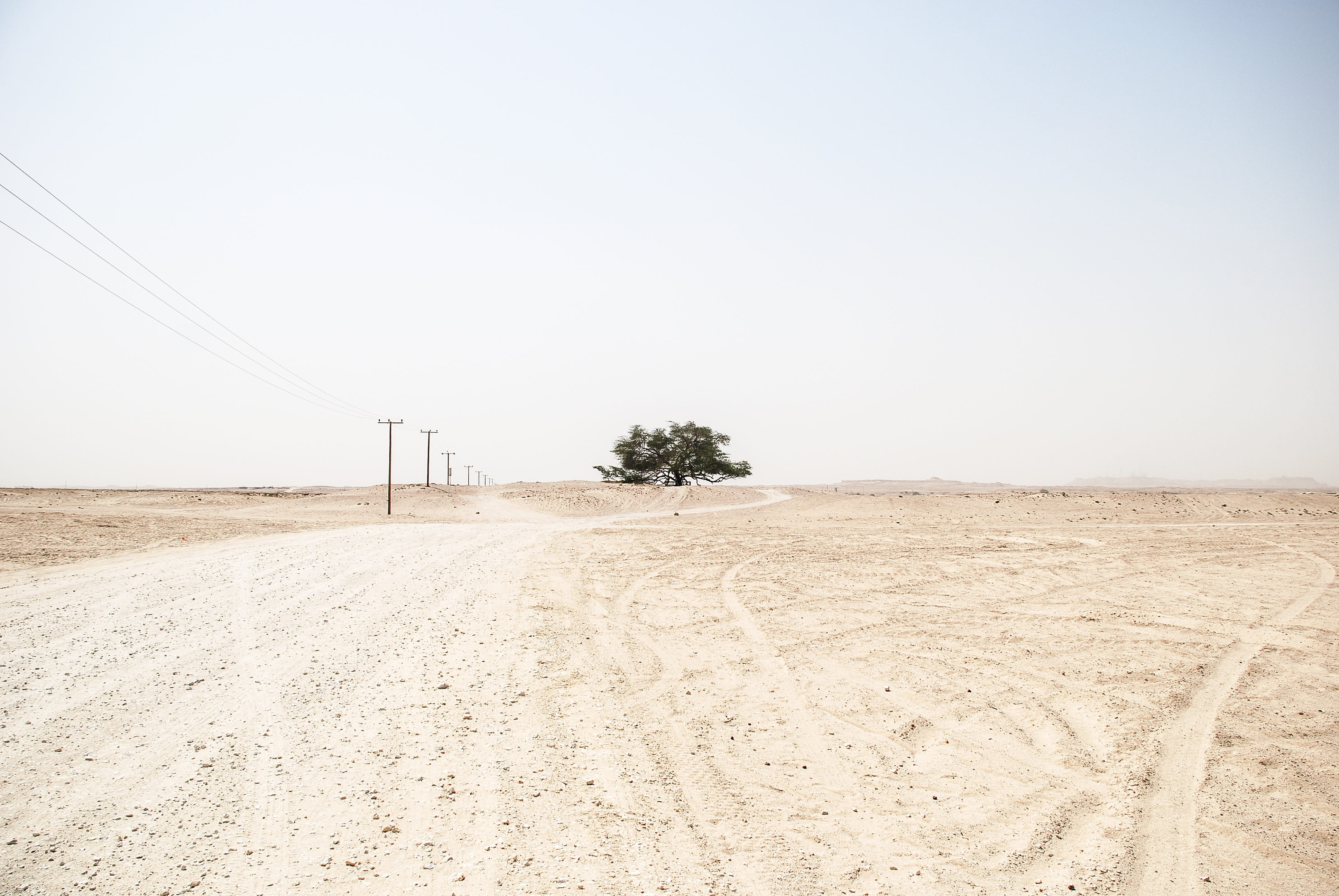 scenics - nature, environment, land, power supply, clear sky, plant, landscape, copy space, day, barren, cable, outdoors, sand, nature, desert, 4K, sky, HD Wallpaper