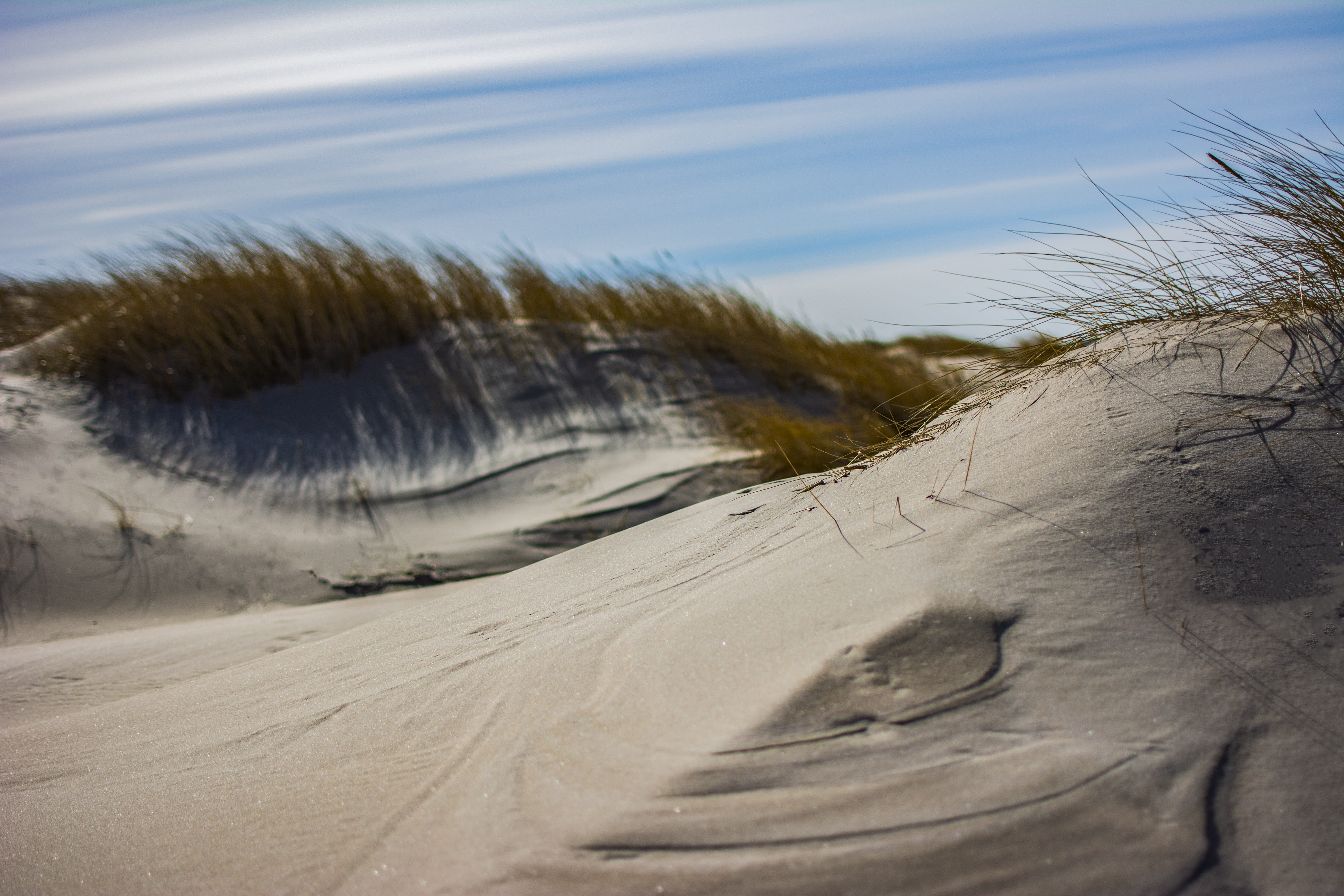 tranquility, marram grass, plant, sahara, sun, dry, desert, landscape, latvia, dunes, outdoors, non-urban scene, no people, day, land, close-up, cloud - sky, HD Wallpaper