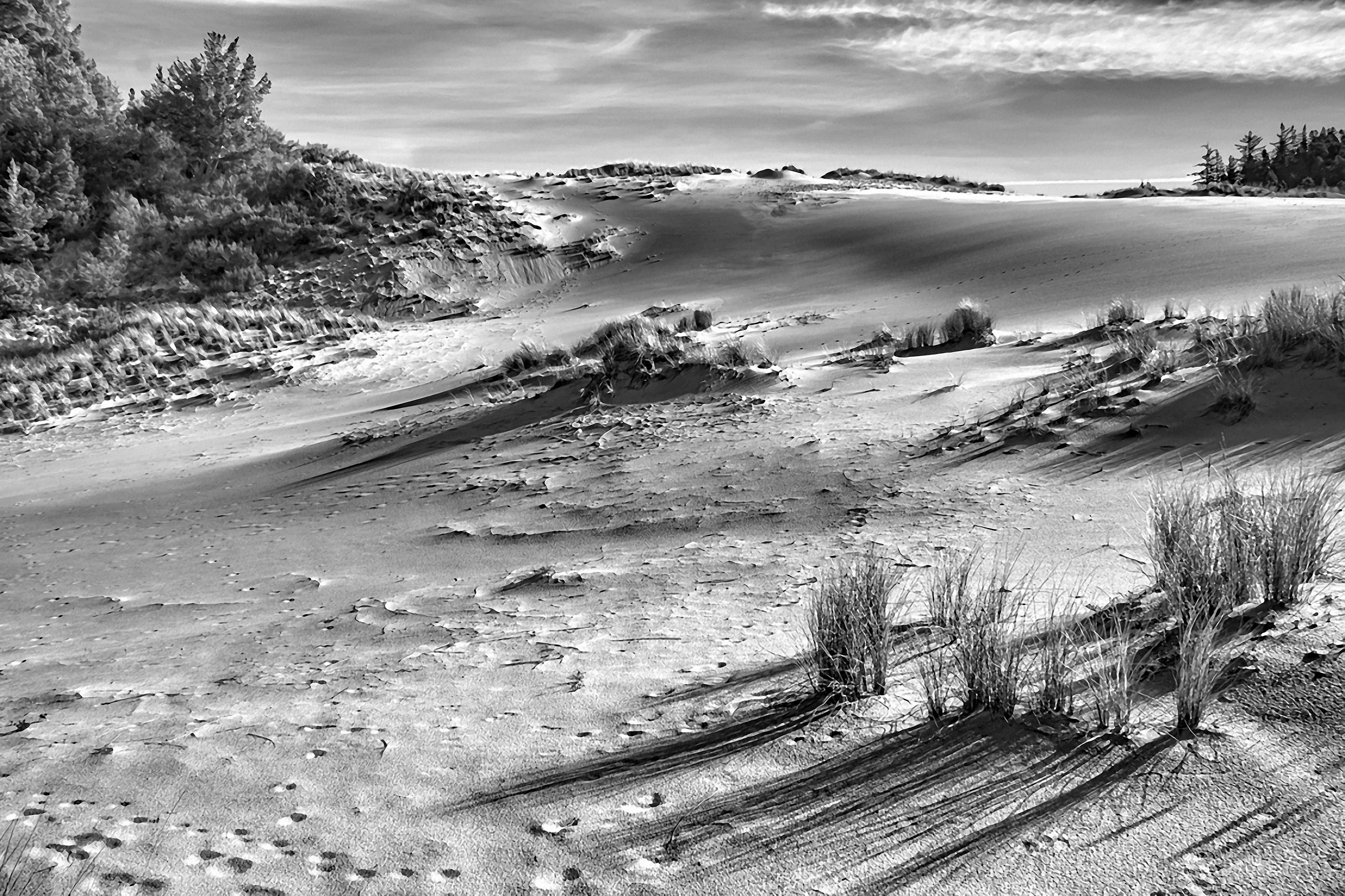 plant, adventure, natural, cloud - sky, dunes, nature, landscape, water, sand, tree, land, sand dunes, beach, 5K, arid climate, tranquility, day, outdoor, HD Wallpaper