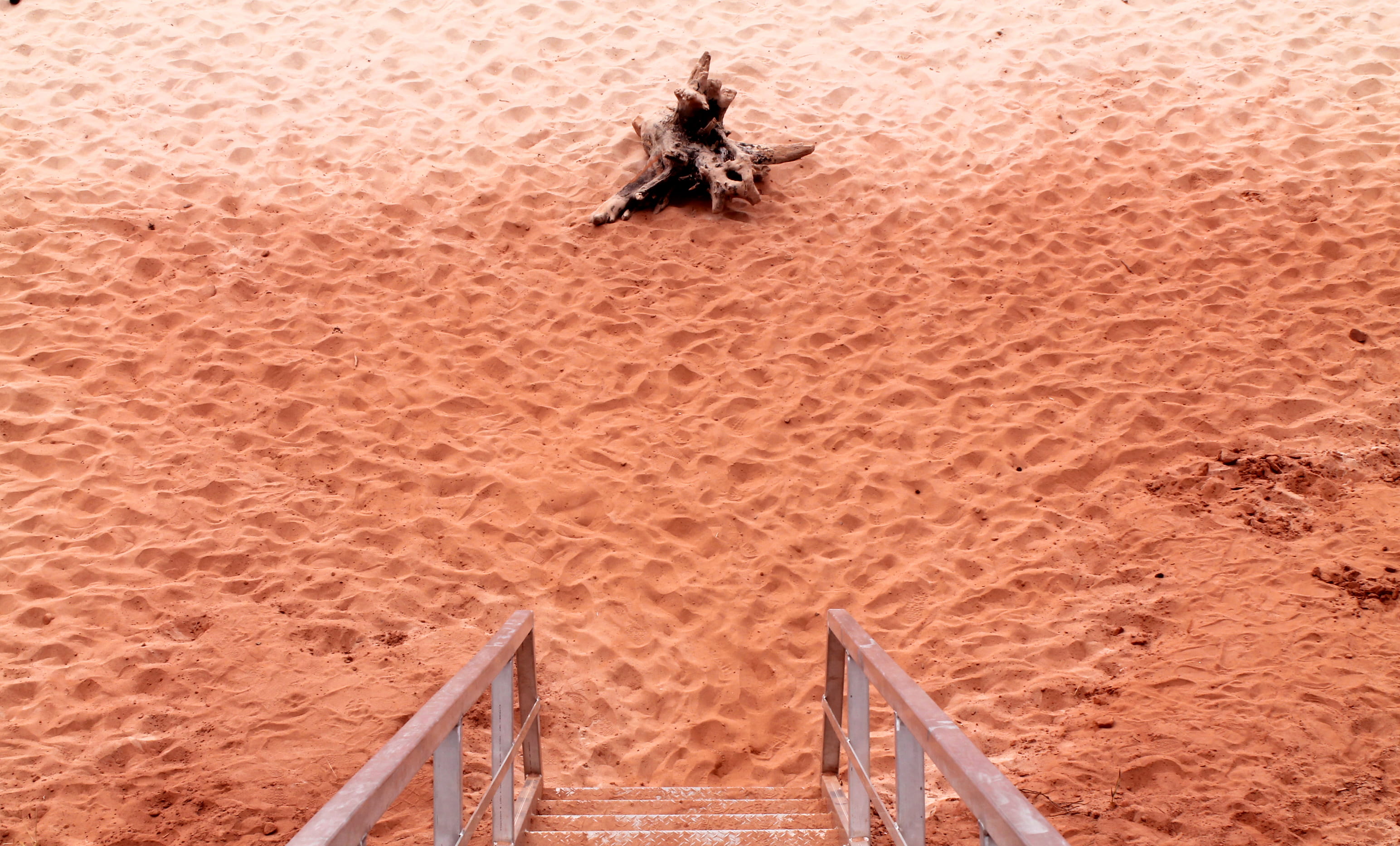 2K, vertebrate, spider, sandy, invertebrate, animal wildlife, mammal, high angle view, near, desert, sand grain, brown, sand, nature, wood, soil, stairs, HD Wallpaper