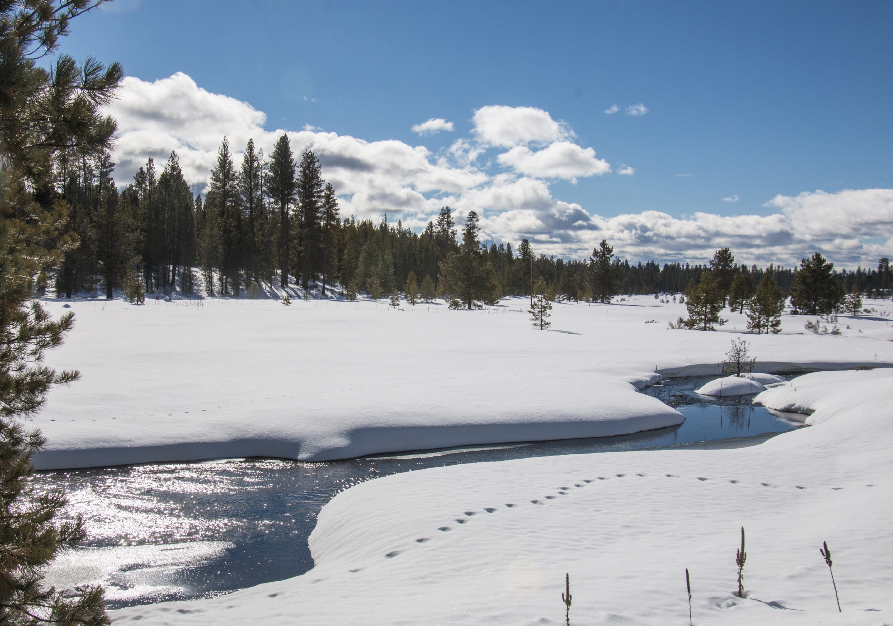 snowcapped mountain, landscape, winter, sunlight, snow, tumalo creek, covering, non-urban scene, tranquility, no people, cold, sky, outdoors, day, pine tree, HD Wallpaper
