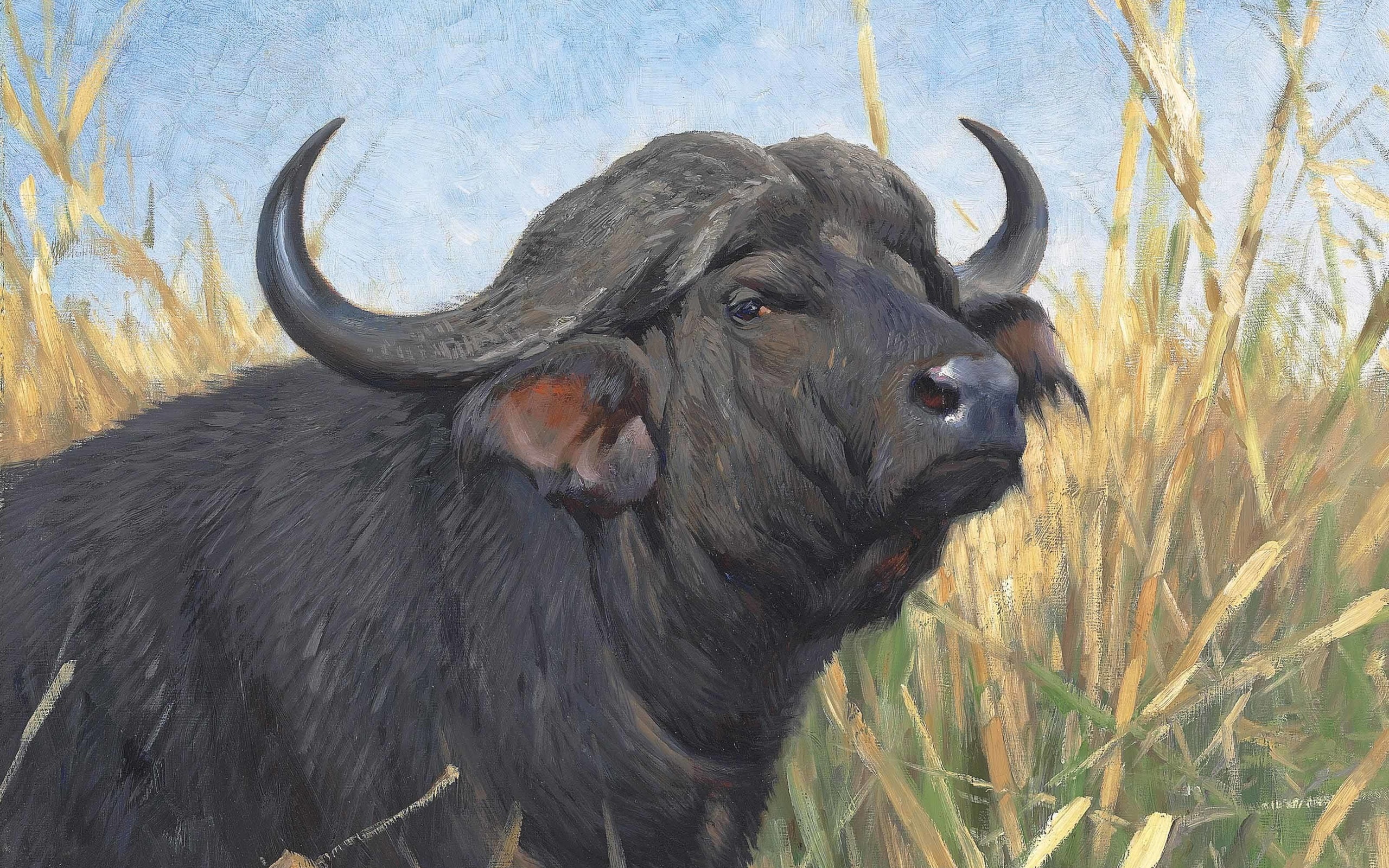 German painter, A Buffalo, Buffalo, Friedrich Wilhelm Kunert, 2K, 1913, Friedrich Wilhelm Kuhnert, HD Wallpaper