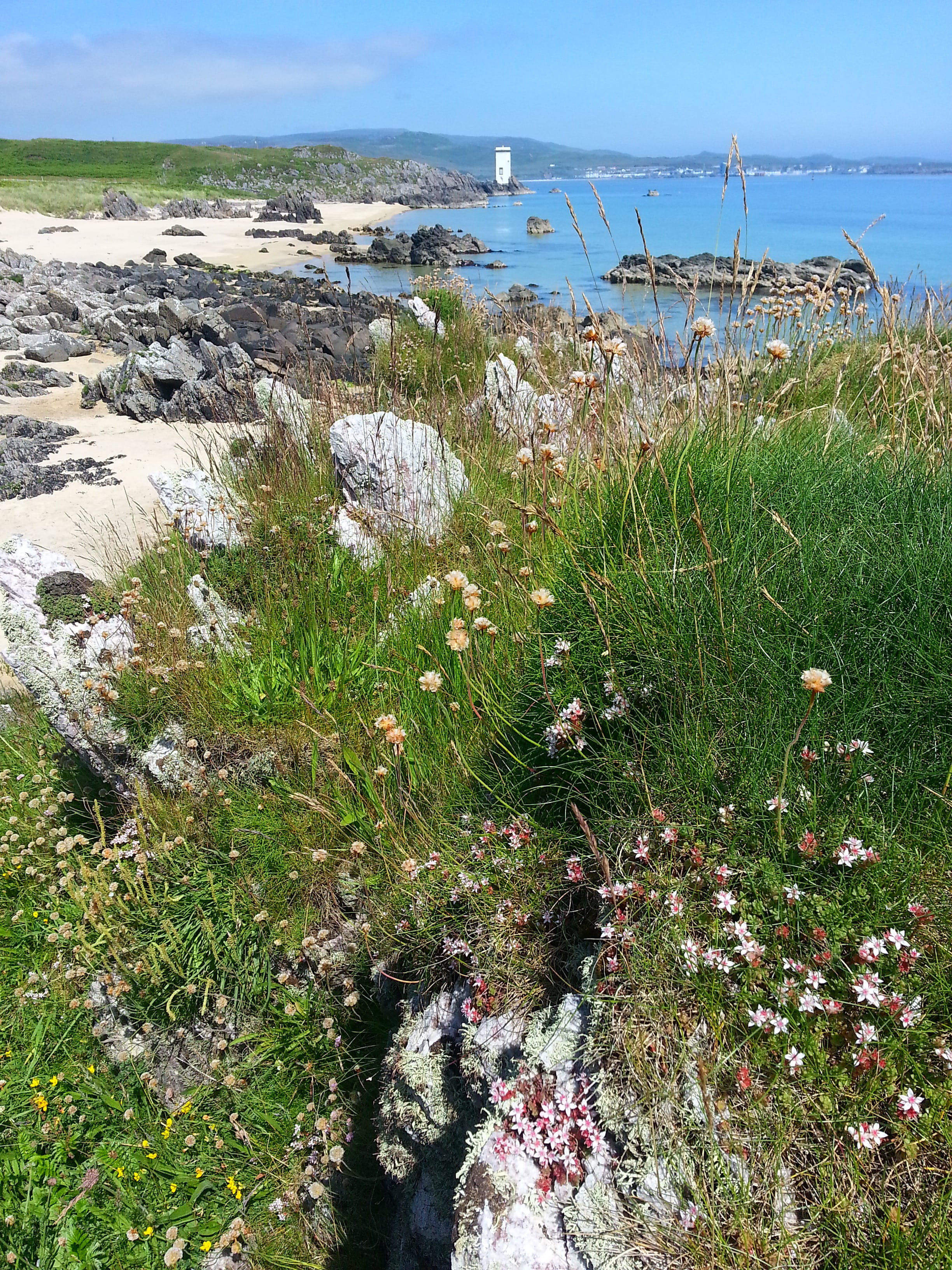 scottish, scenics - nature, island, water, outdoors, flowers, blue, Scotland, rock, beach, marram grass, great britain, sky, tranquil scene, Landscape, Phone HD Wallpaper