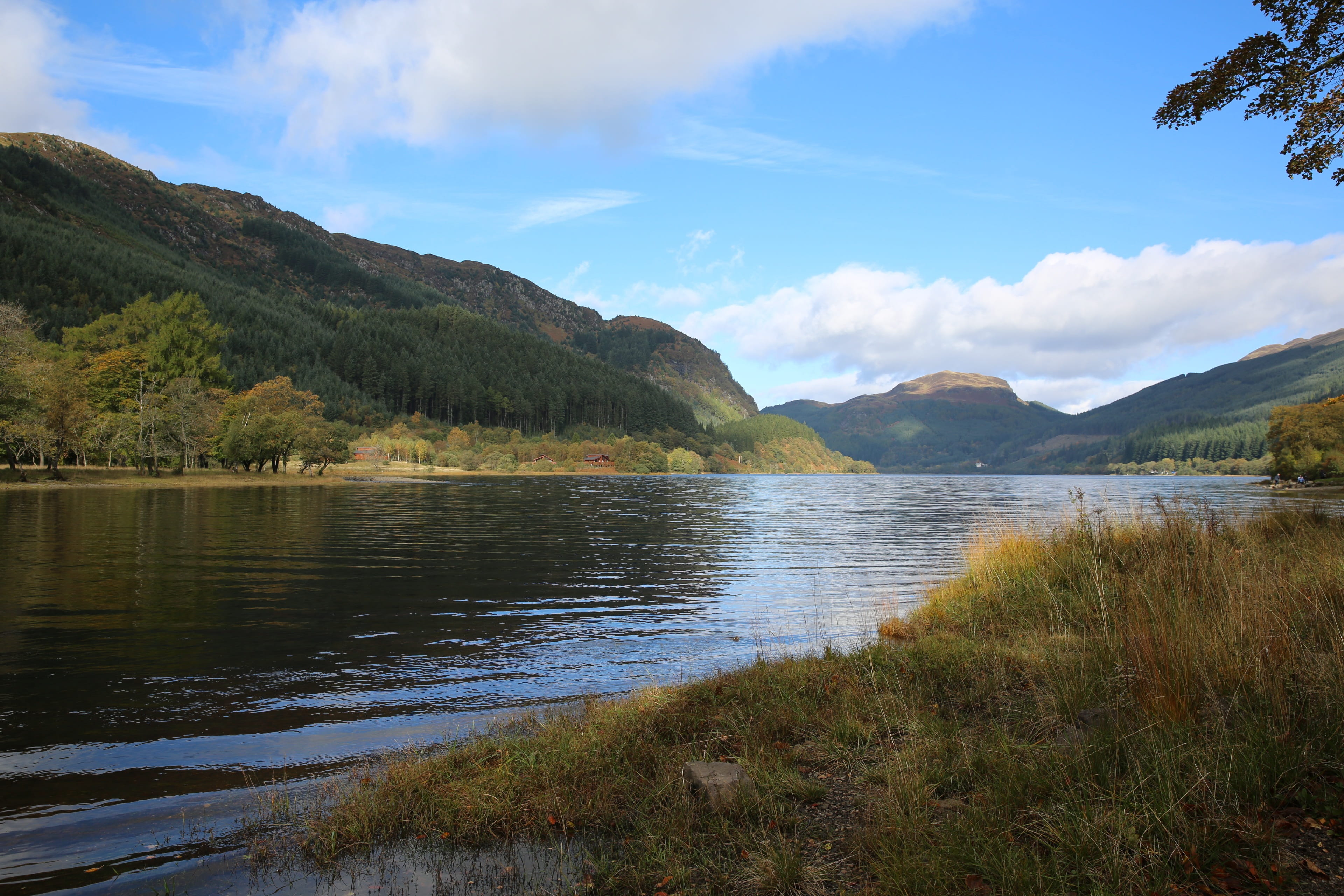 plant, tree, lake, highlands and islands, scenic, grass, scottish, environment, nature, mountain, outdoors, cloud - sky, scenics - nature, non-urban scene, HD Wallpaper
