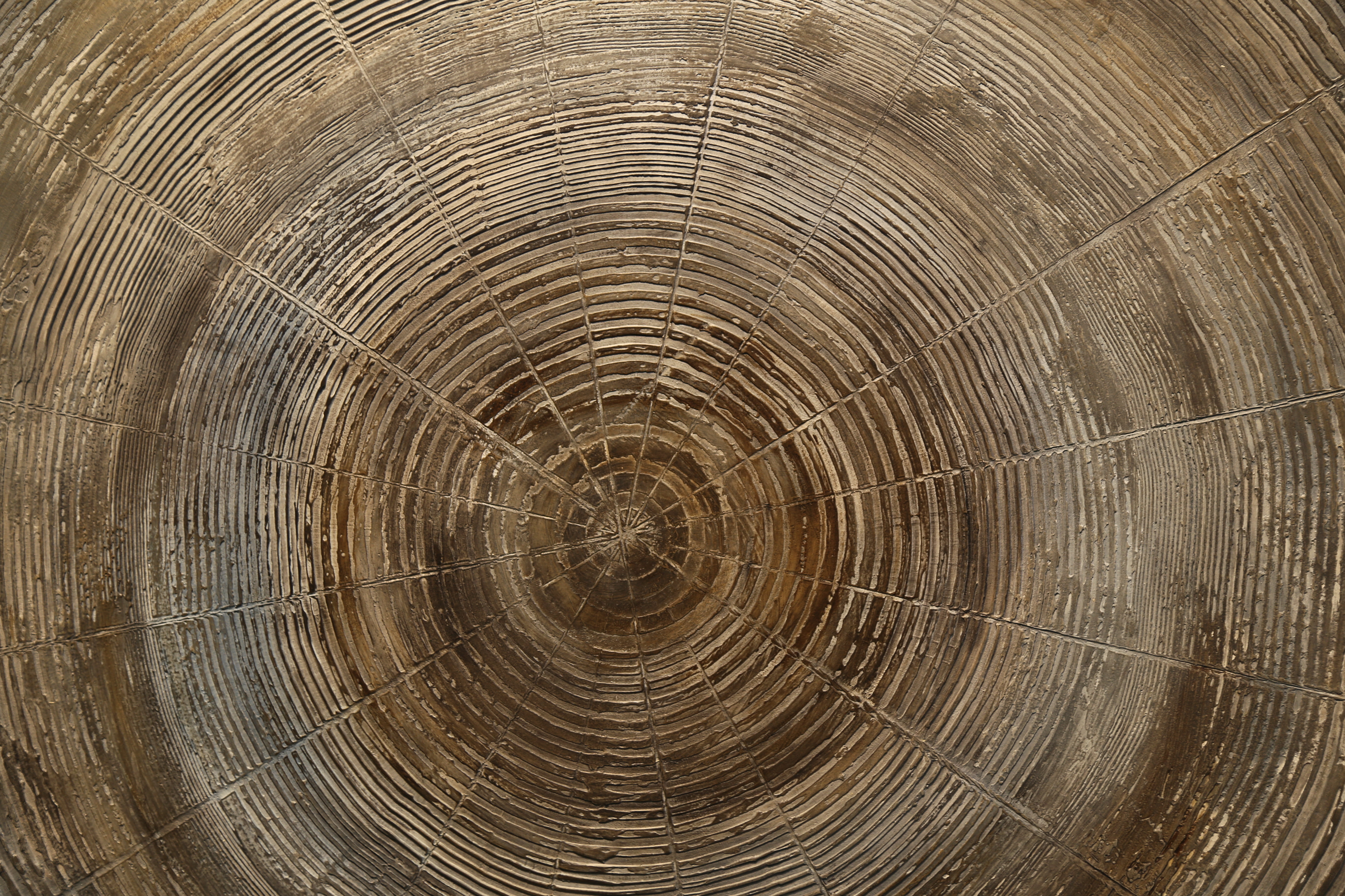 wood, brown, board, tree rings, wooden, circles, 5K, HD Wallpaper