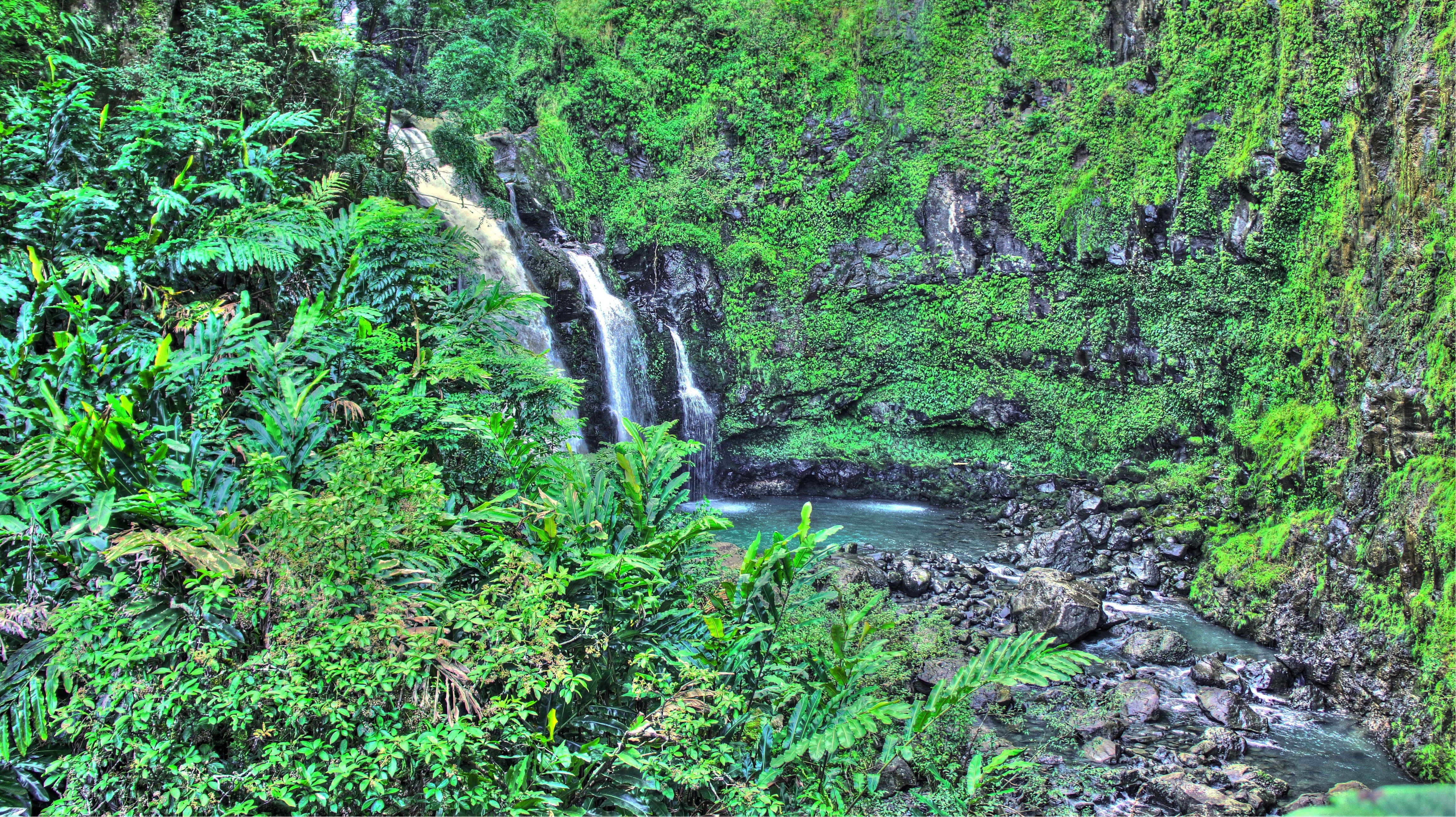 Palm Trees, Tropical water, waterfall, Maui, 4K, Tropical Forest, Hawaii, beach, Isle of Maui, HD Wallpaper