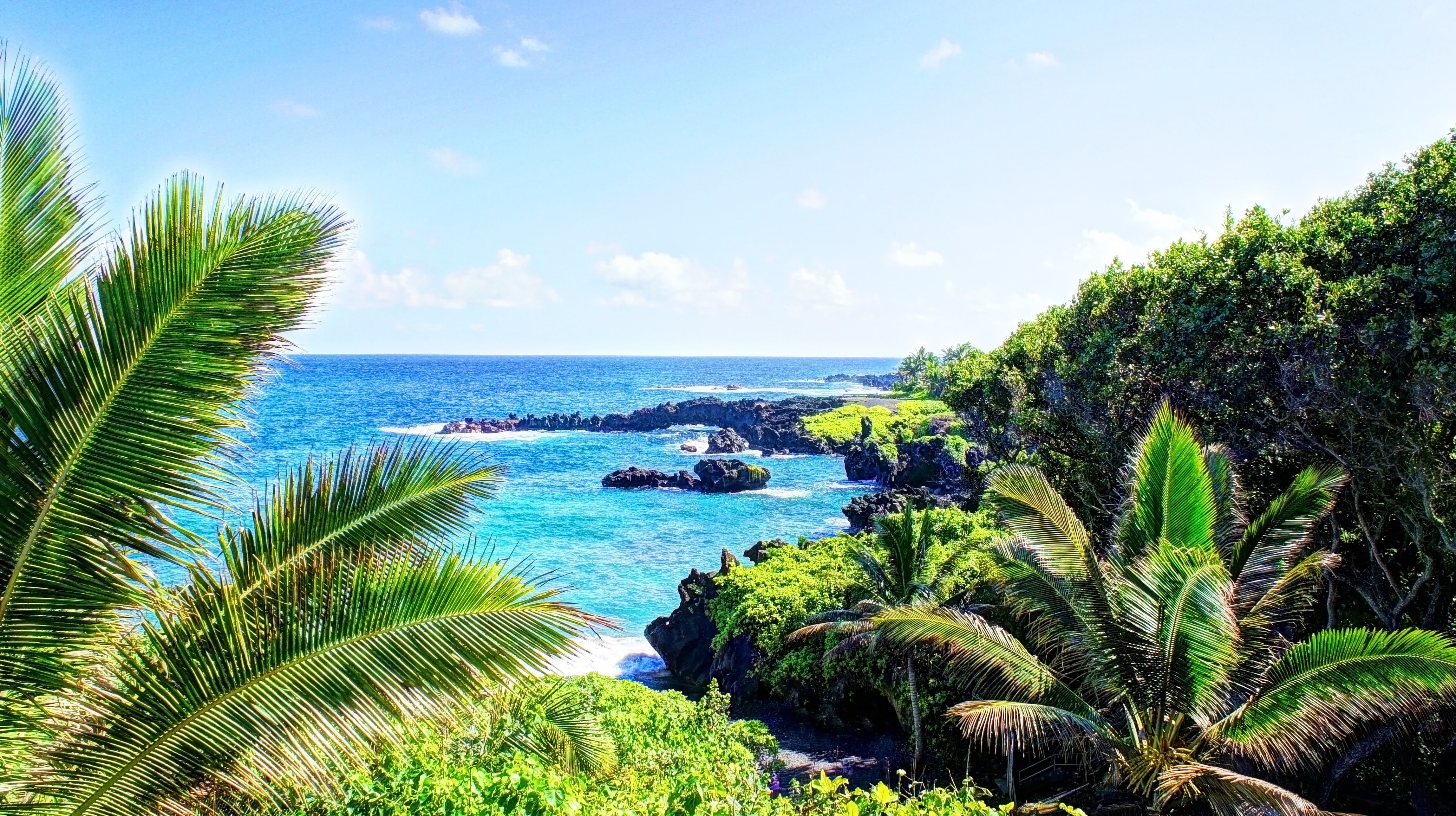 Tropical Forest, Maui, Palm Trees, Isle of Maui, beach, 4K, waterfall, Tropical water, Hawaii, HD Wallpaper