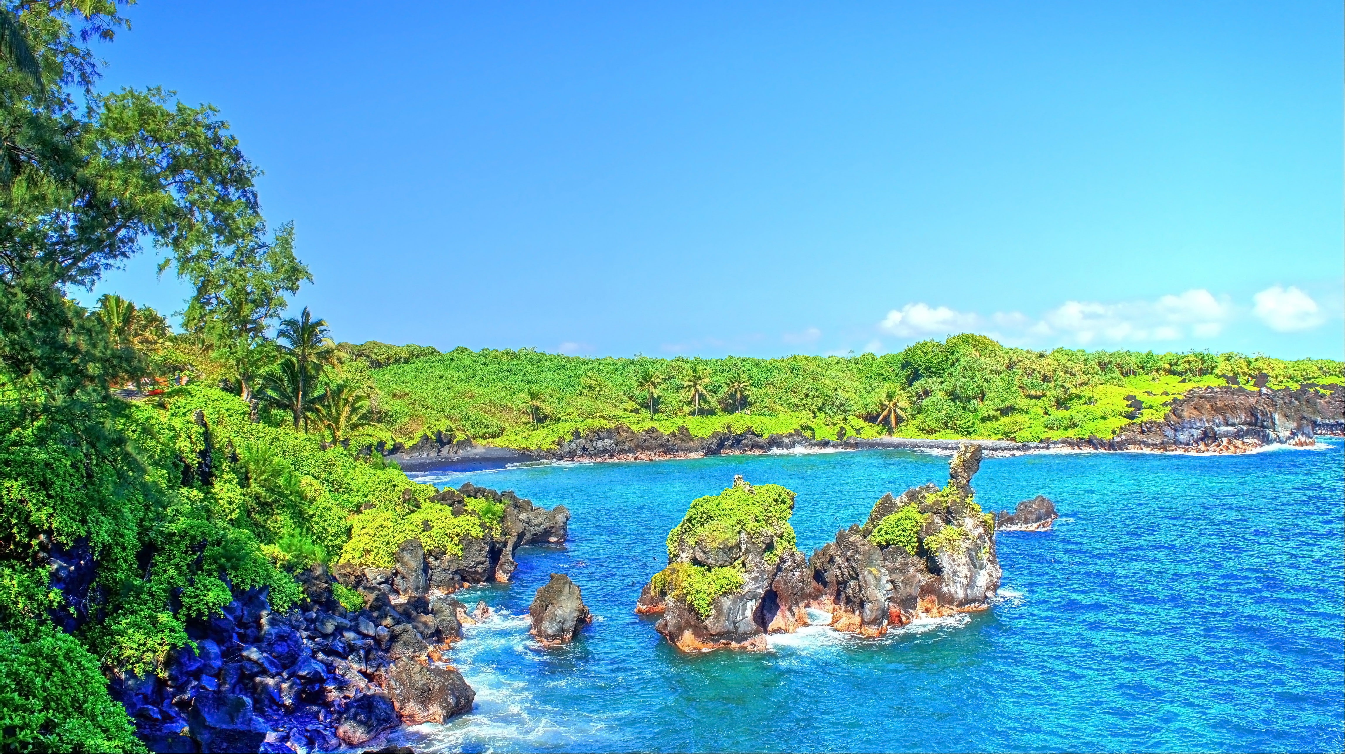 Maui, Tropical water, 4K, Tropical Forest, beach, Hawaii, Palm Trees, waterfall, Isle of Maui, HD Wallpaper