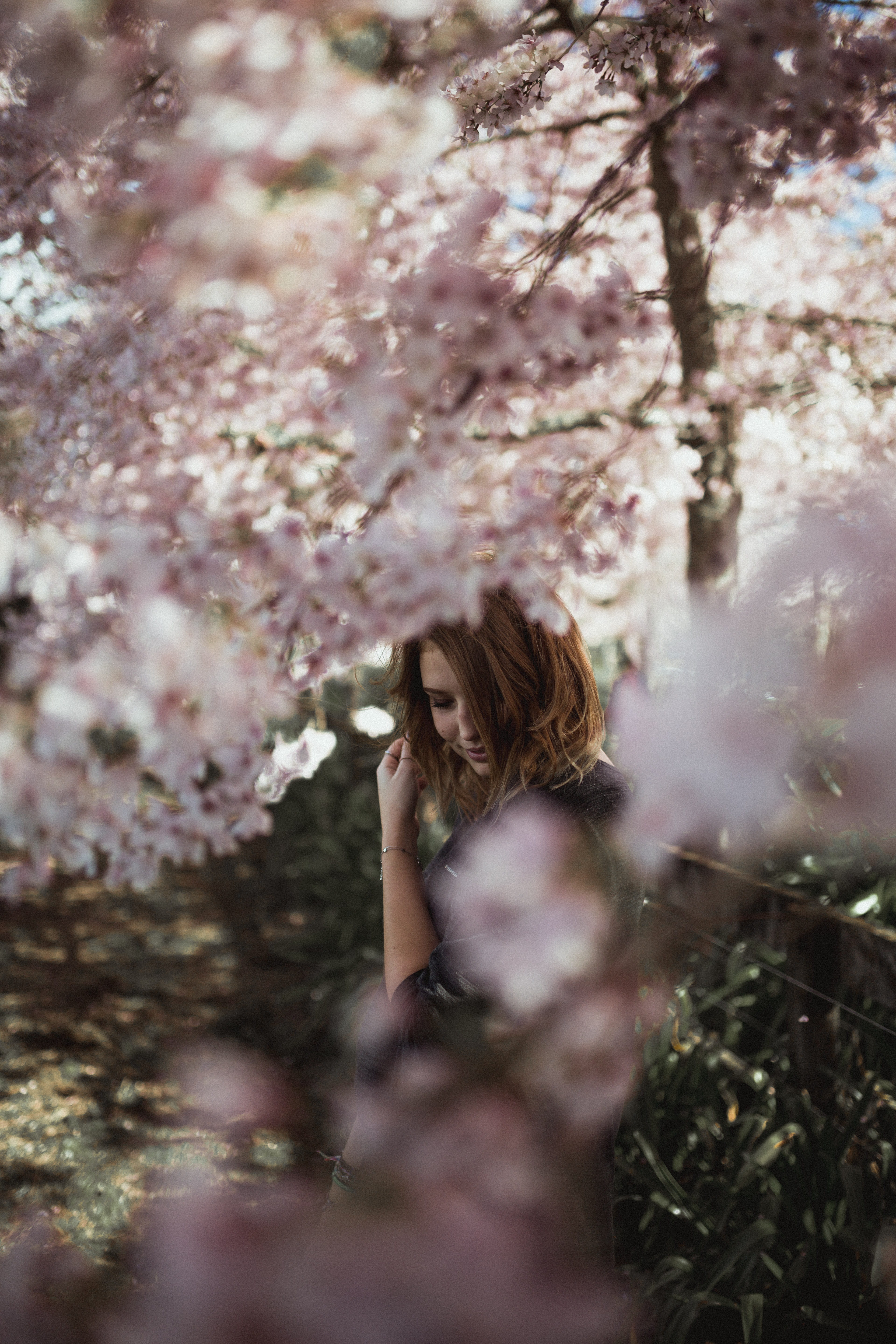 cherry blossom, spring, land, blossom, woman, casual clothing, outdoors, near, leisure activity, young adult, brunette, focus, real people, tree, daytime, Phone HD Wallpaper