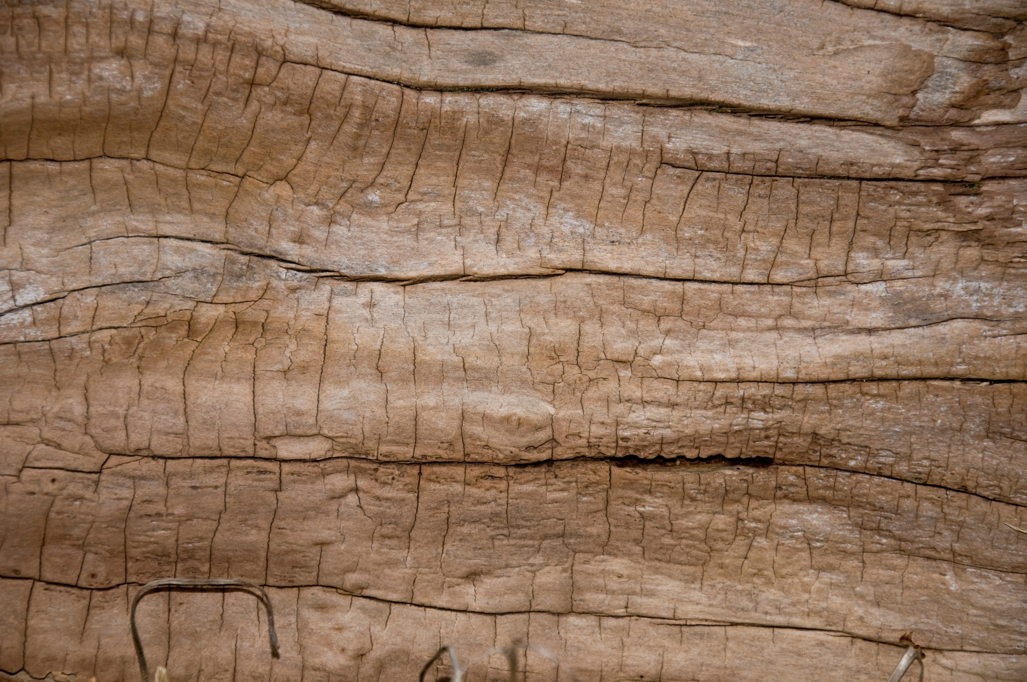 wood  for mac desktop, wood - material, wood grain, textured, backgrounds, plant, 1080P, close-up, old, day, rough, full frame, nature, brown, timber, HD Wallpaper