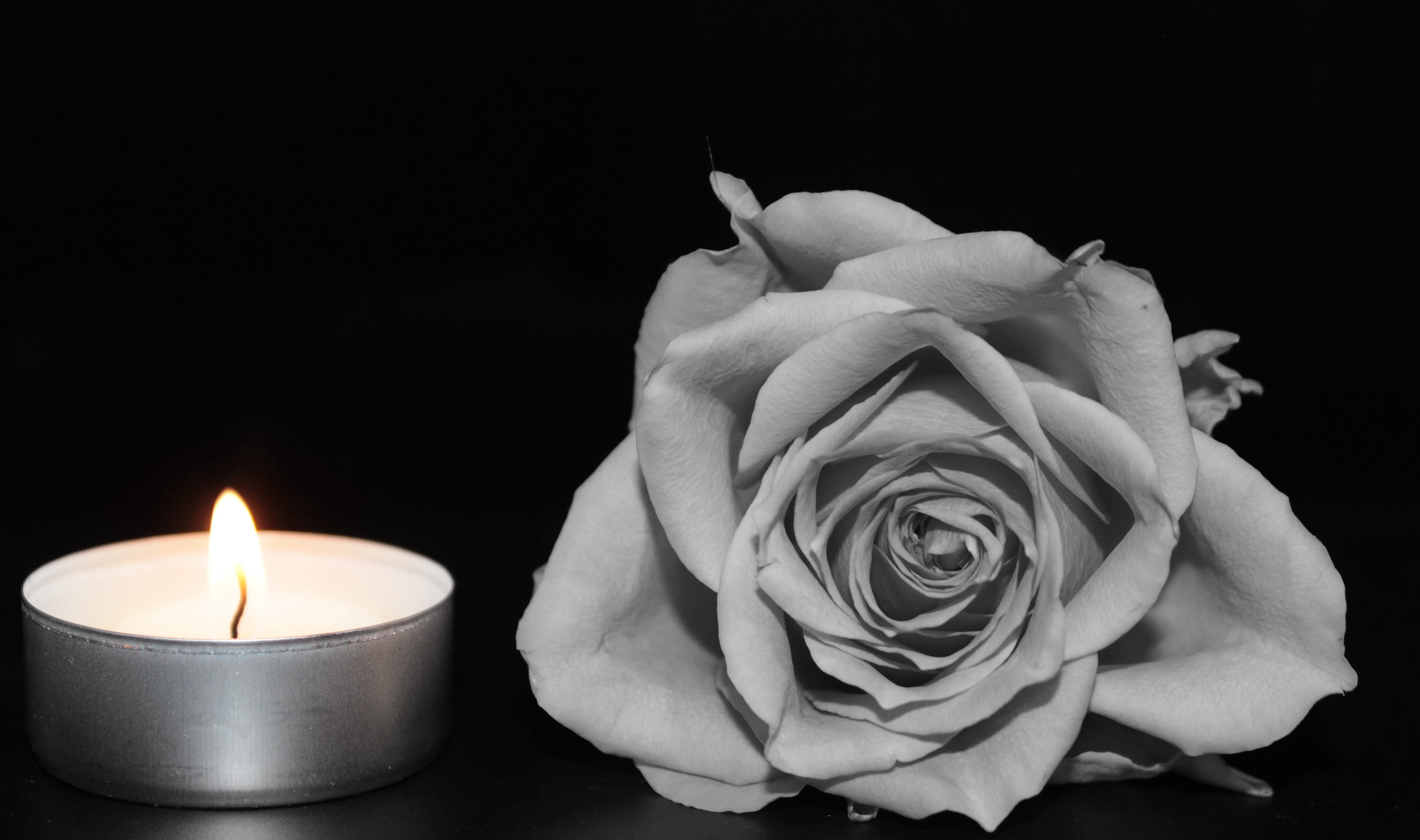 mourning, valentines day - holiday, love, 4K, fragility, candle, freshness, flower head, flower, selective, softness, plant, photography, rose, in remembrance, HD Wallpaper
