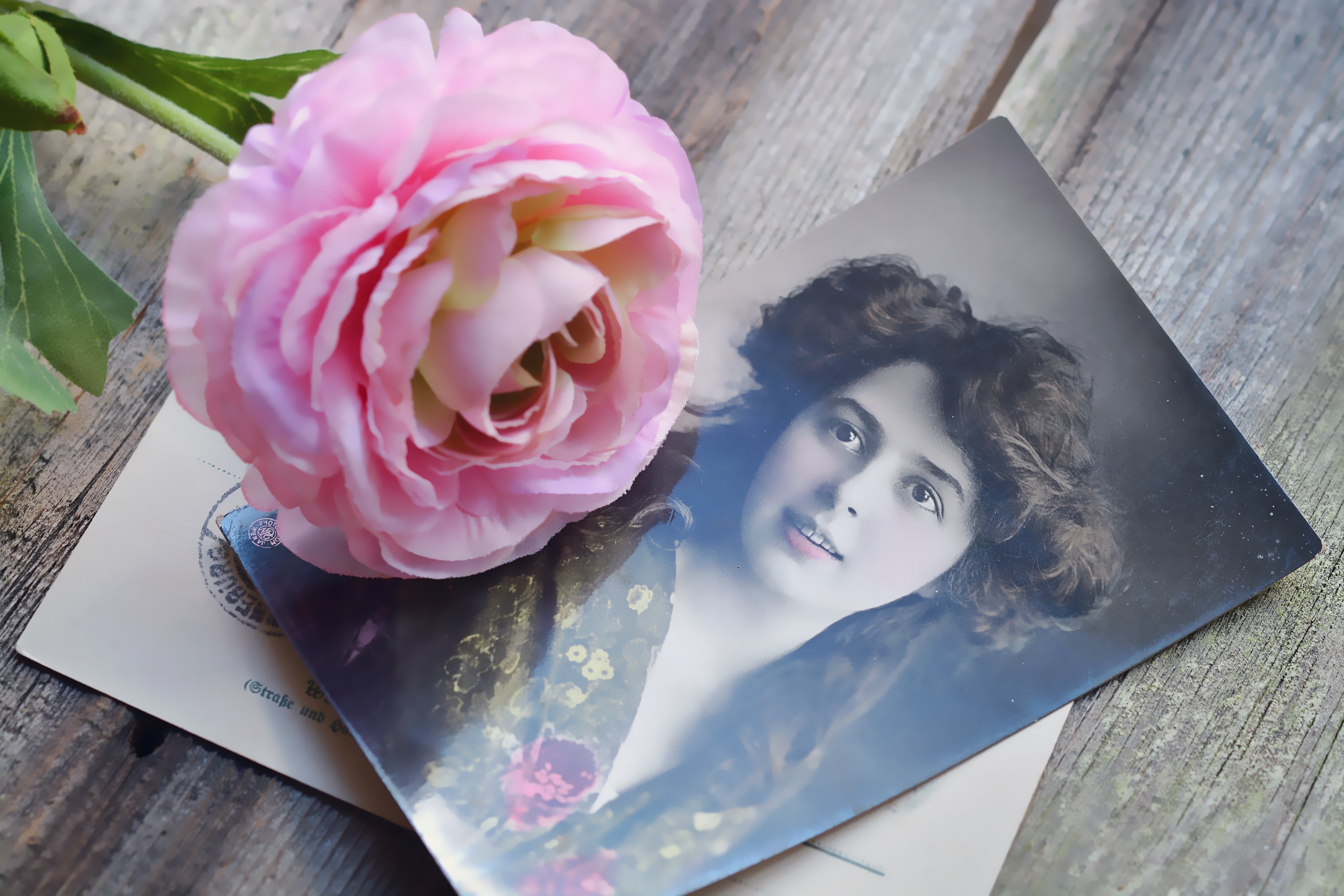 picture postcards, adult, rose - flower, greeting cards, close-up, people, old, flowering plant, freshness, plant, females, nature, hairstyle, high angle view, HD Wallpaper