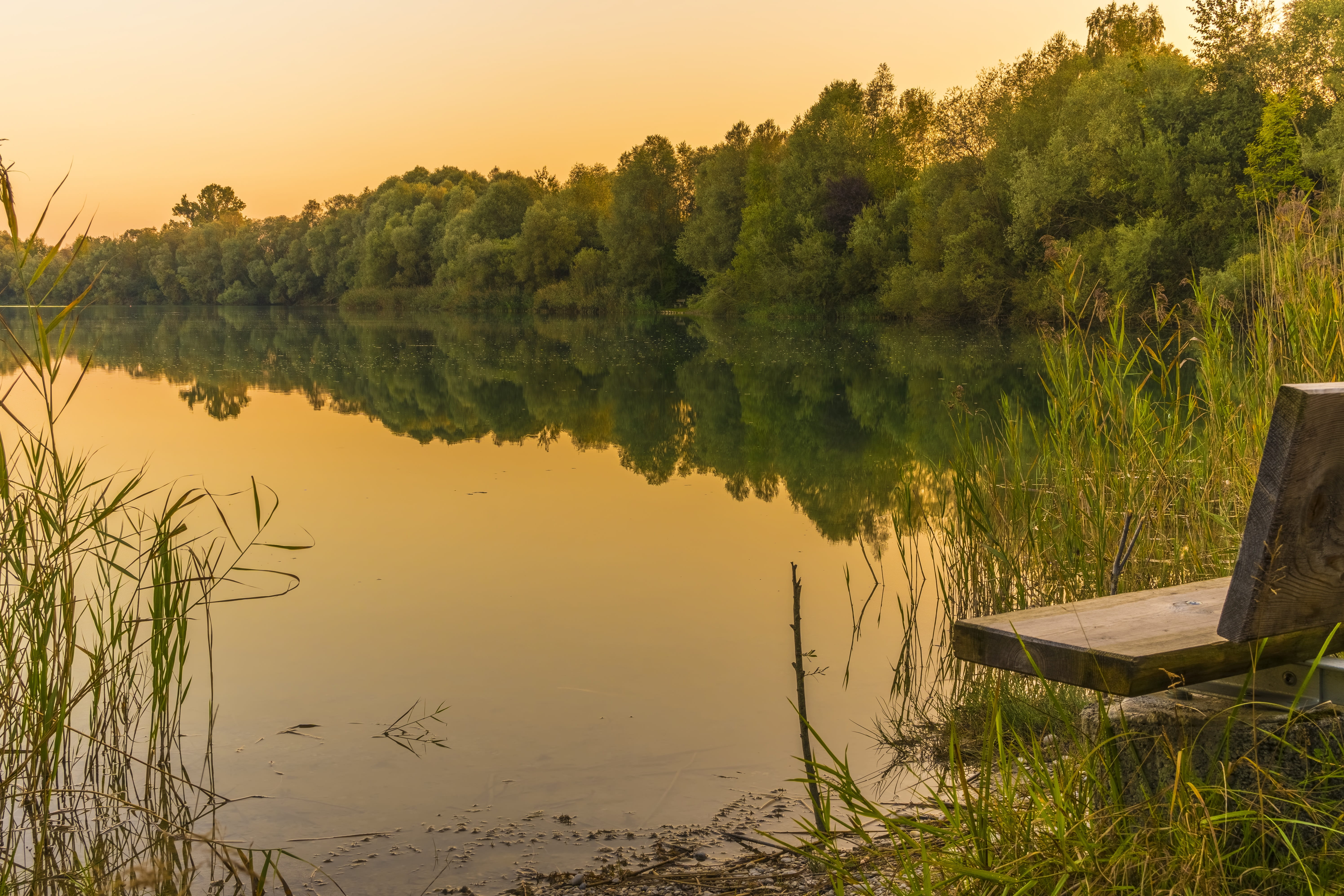 twilight, evening sky, middle, orange, sunset, standing water, beauty in nature, reflection, abendstimmung, trees, growth, mood, green color, lake, evening, HD Wallpaper