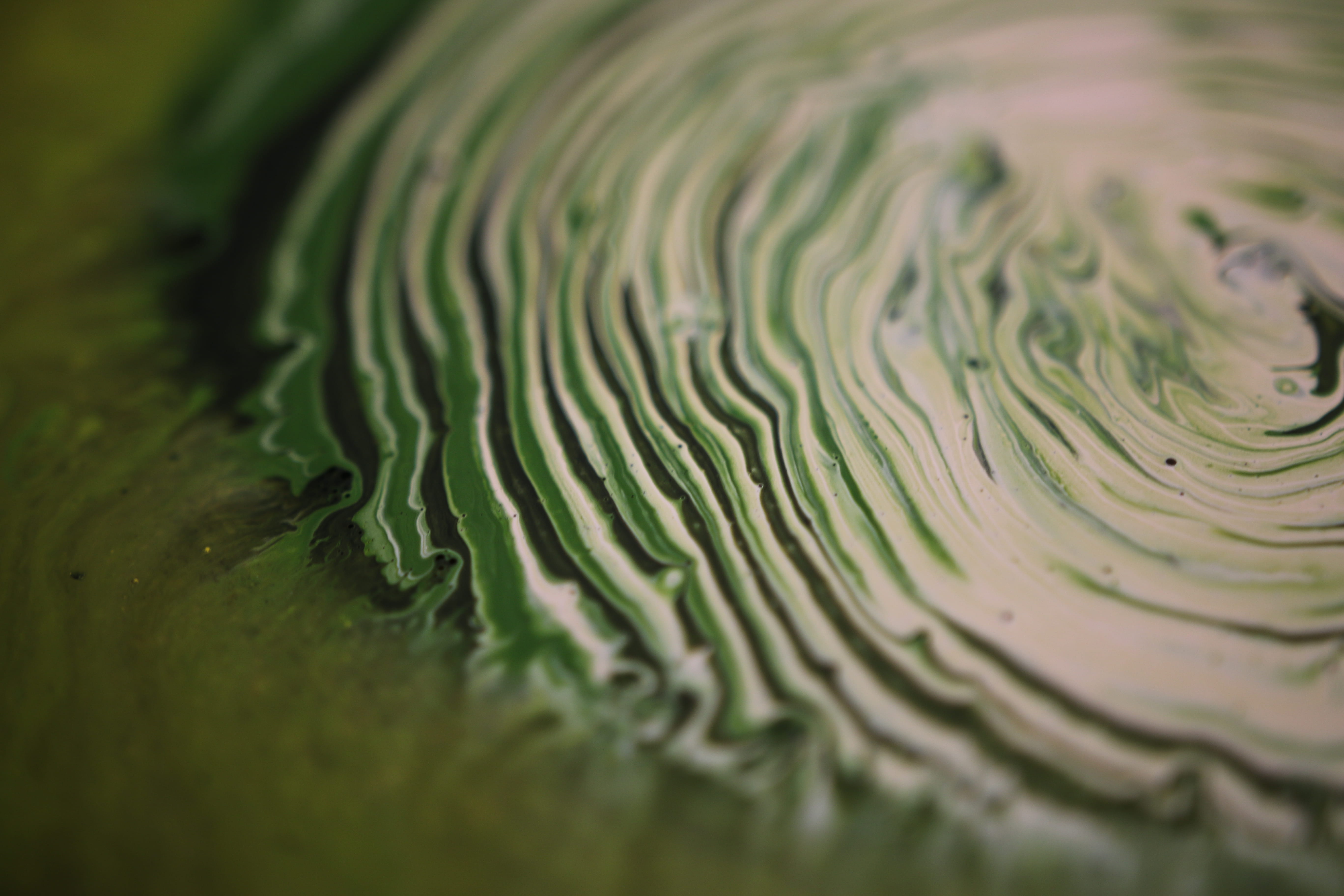 movement, nature, beauty, pattern, beauty in nature, creative, united states, organic, abstract, biology, selective focus, experiment, creativity, 5K, HD Wallpaper