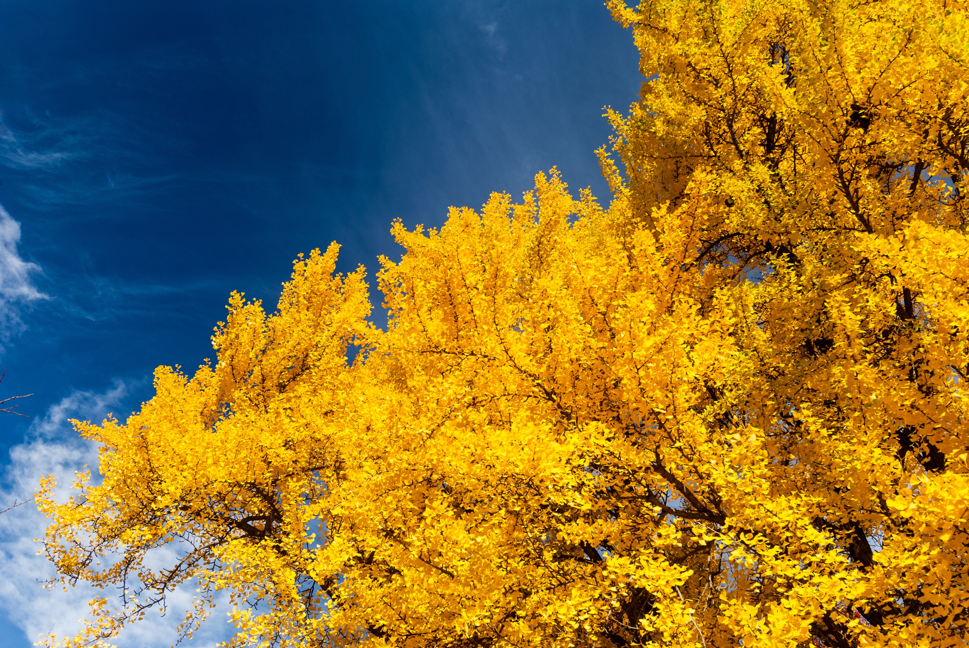 beautiful, district, tranquil scene, nature, cloud, orange color, beauty in nature, outdoor, sky, united, america, change, famous, historic, autumn, nobody, HD Wallpaper