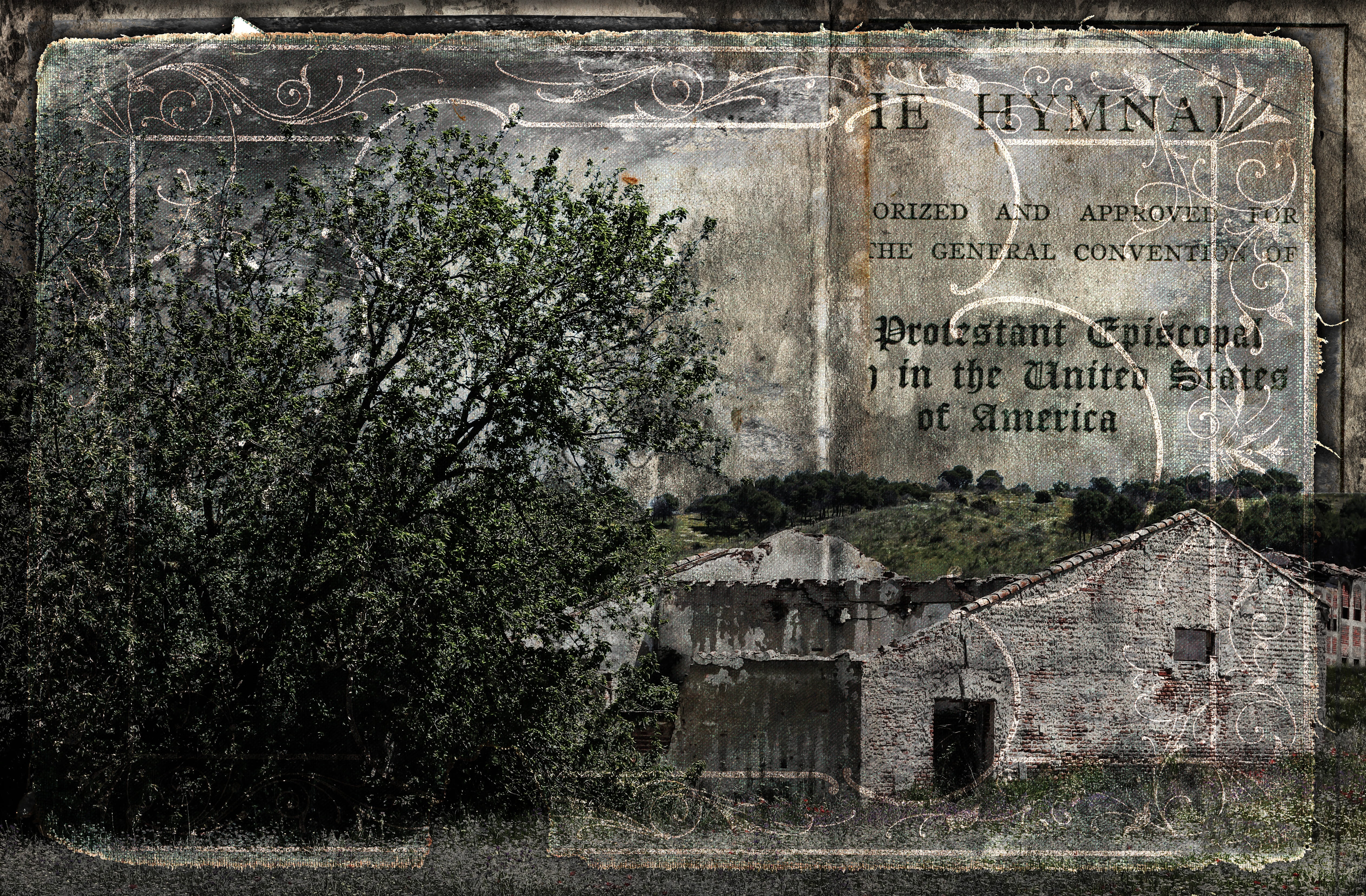 building, abandonment, western script, damaged, plant, tomb, travel, building exterior, door, wood, ramshackle, terror, old, no people, outdoors, communication, HD Wallpaper
