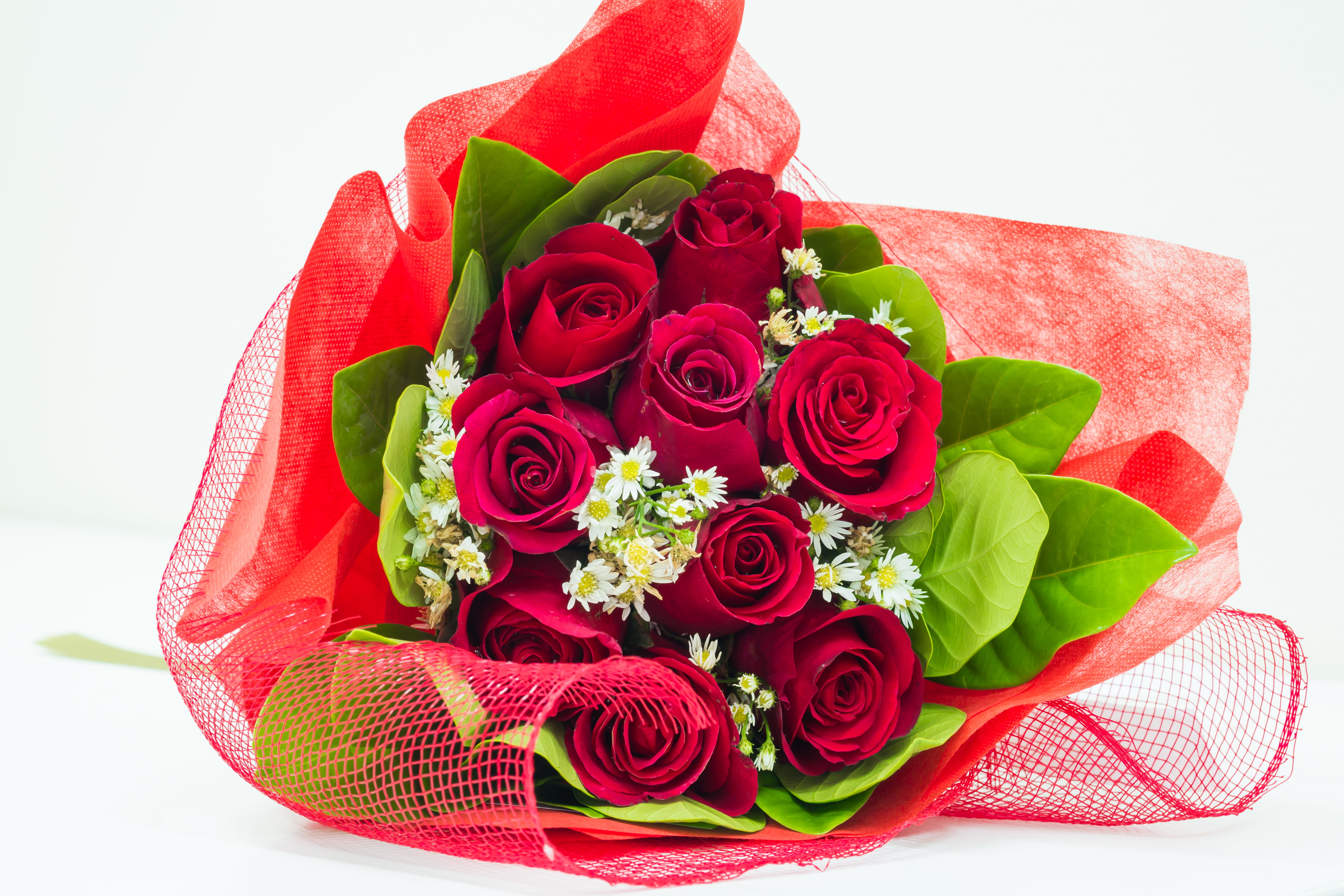 bouquet, white background, valentines Day - Holiday, for you, rose - Flower, still life, decoration, nice, anniversary, nature, plant part, beautiful, red roses, HD Wallpaper