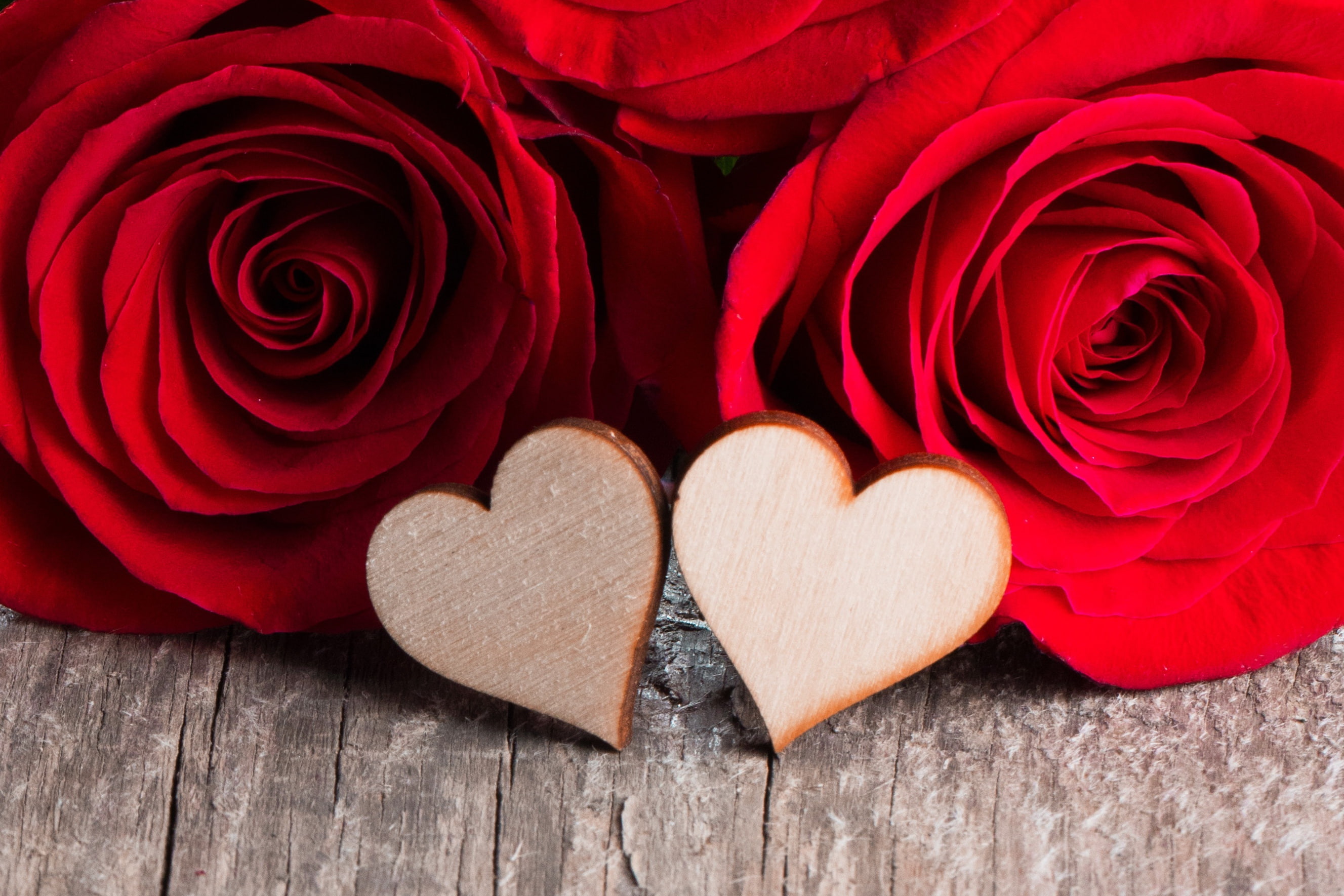 Photography, Red Flower, Flower, Red Rose, Heart, 2K, Love, HD Wallpaper